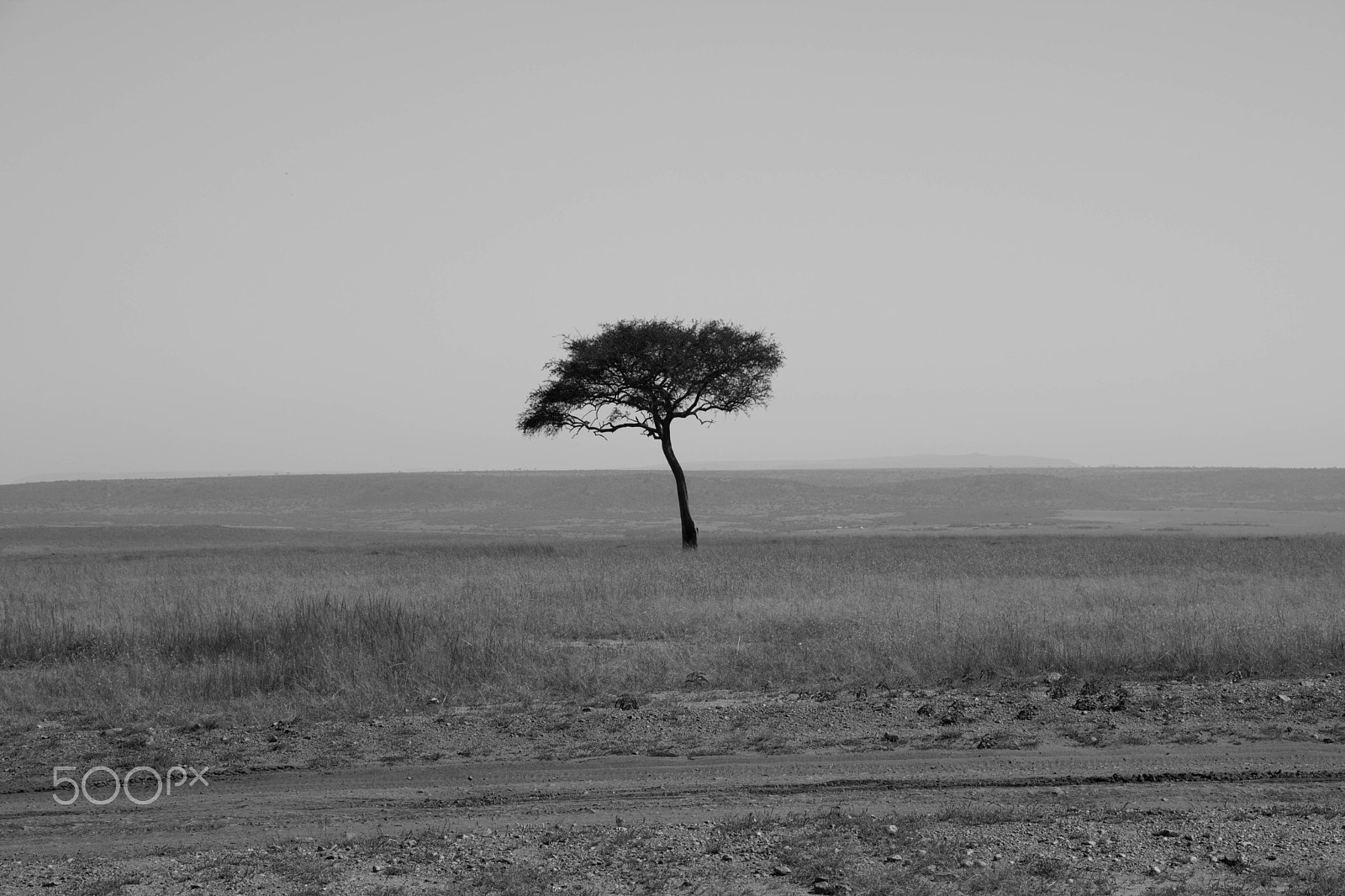 Canon EF-S 18-135mm F3.5-5.6 IS STM sample photo. Maasai mara, kenya, africa 11 photography