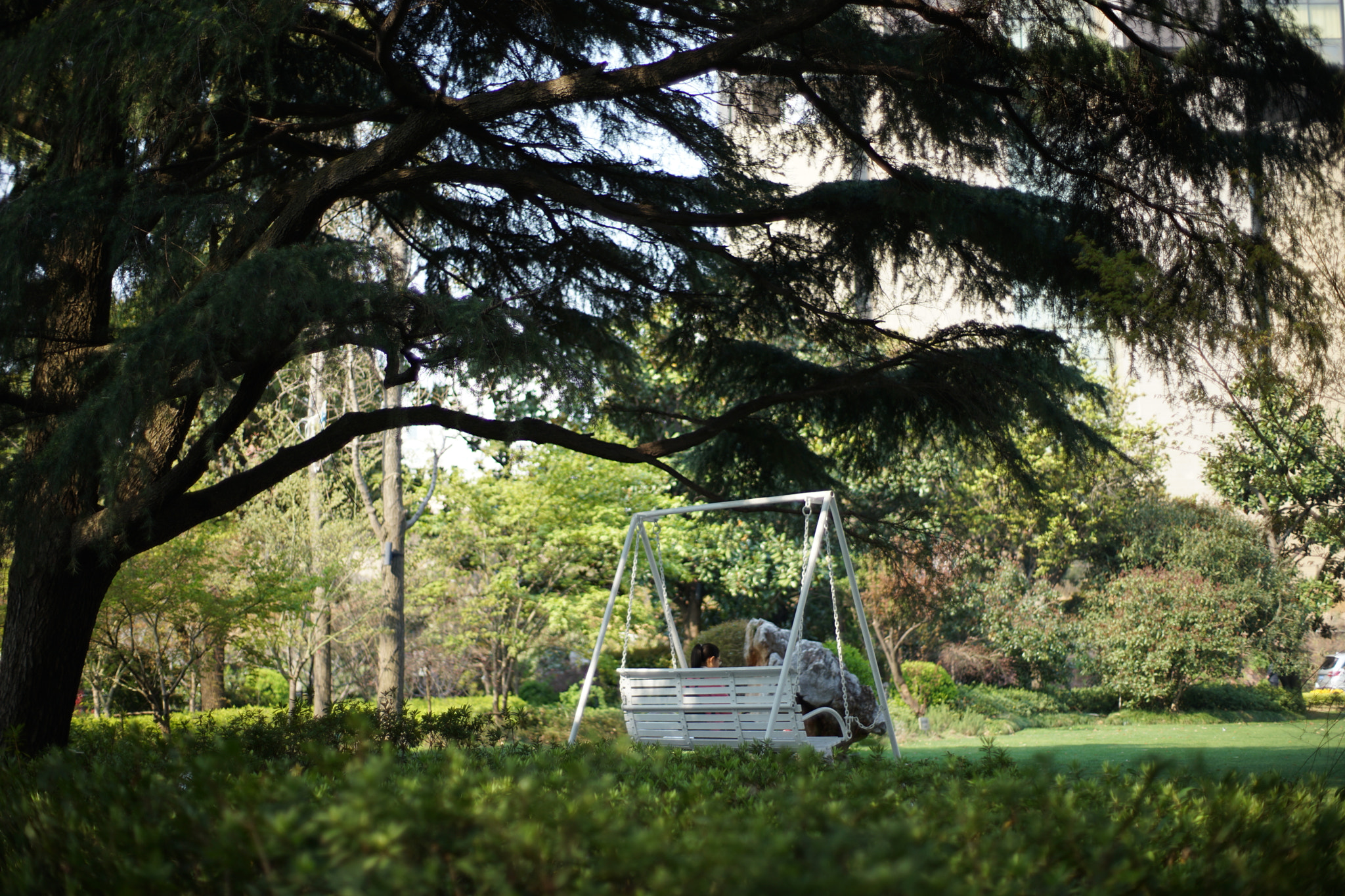 ZEISS Planar T* 50mm F1.4 sample photo. Just no other way photography