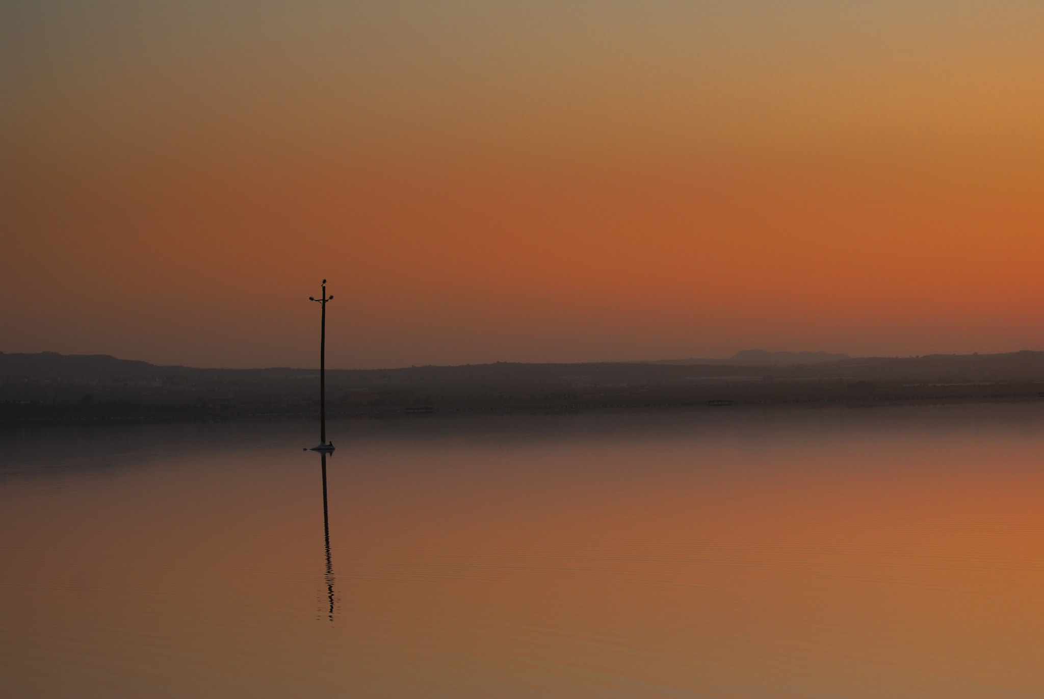 Nikon D40X sample photo. Minimalism pole in water photography