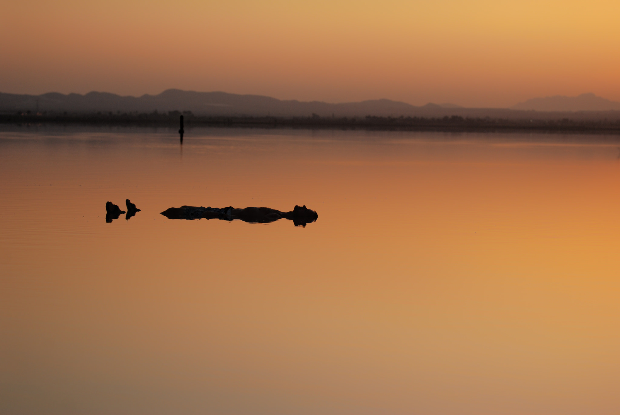 Nikon D40X sample photo. Minimalism floating photography