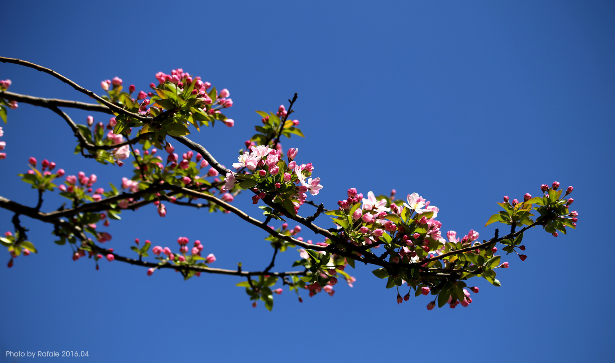 Canon EF 70-210mm f/3.5-4.5 USM sample photo
