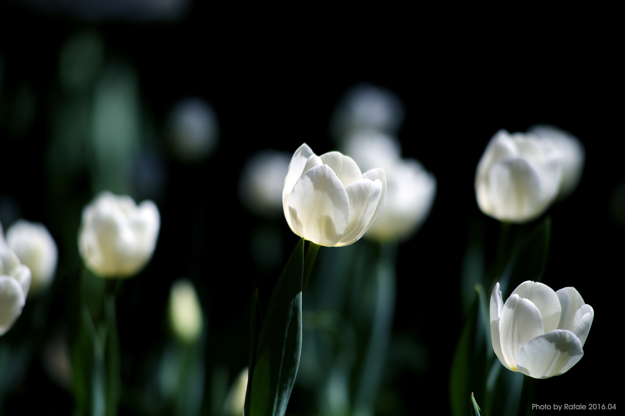Canon EF 70-210mm f/3.5-4.5 USM sample photo
