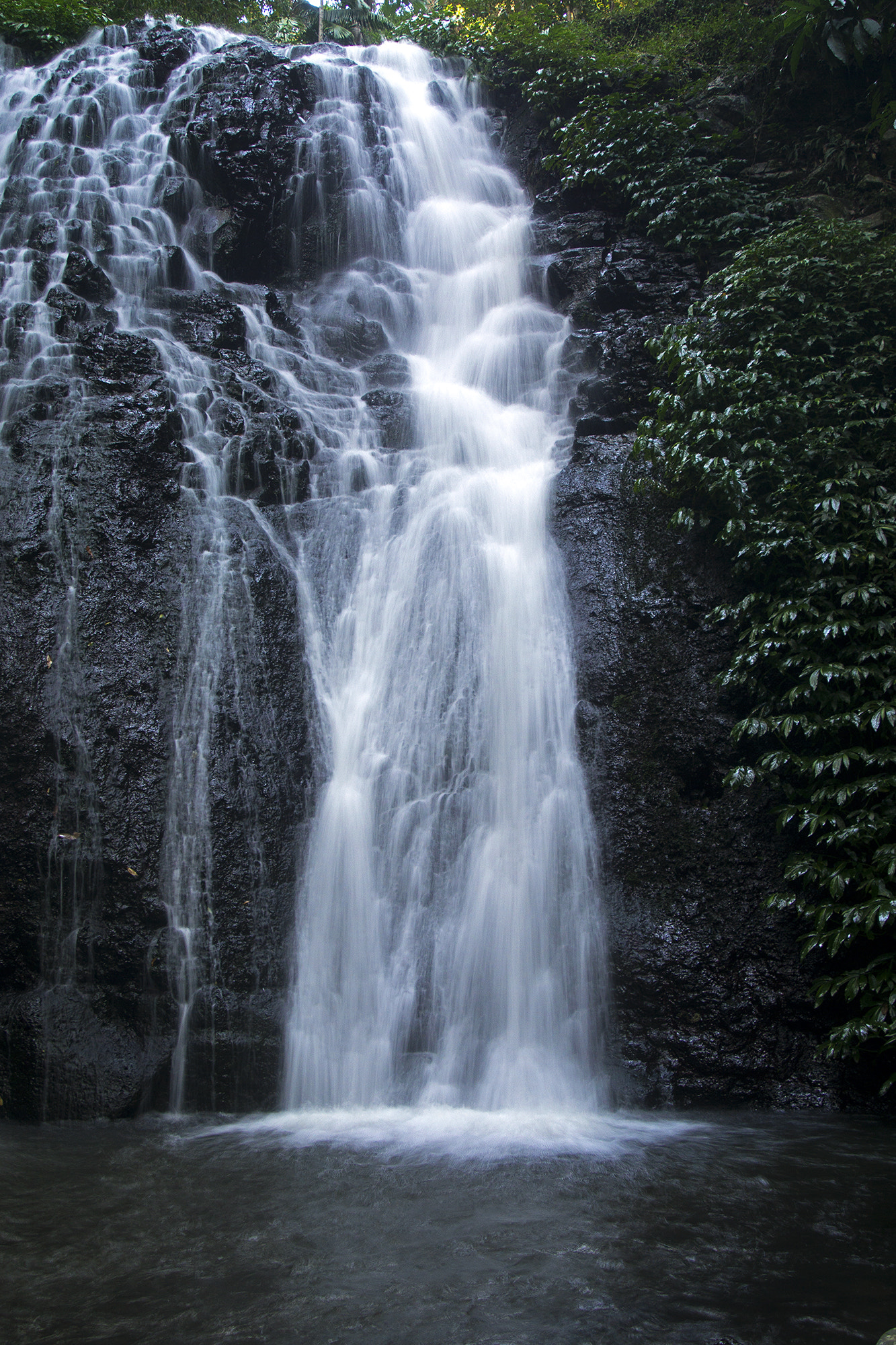 Minolta AF 28-105mm F3.5-4.5 [New] sample photo. Brushbox falls photography