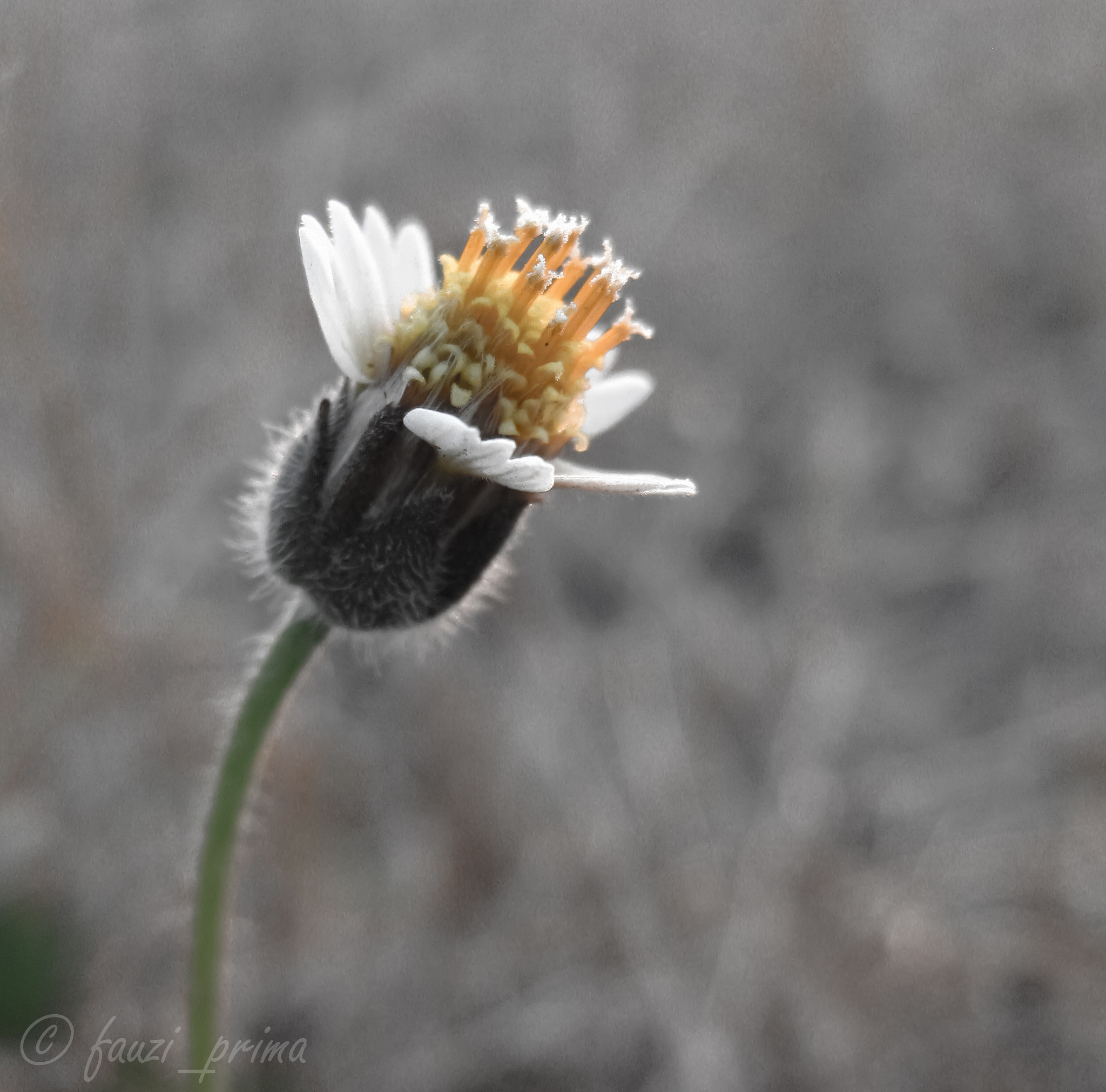 Canon PowerShot SD770 IS (Digital IXUS 85 IS / IXY Digital 25 IS) sample photo. Lonliness. photography