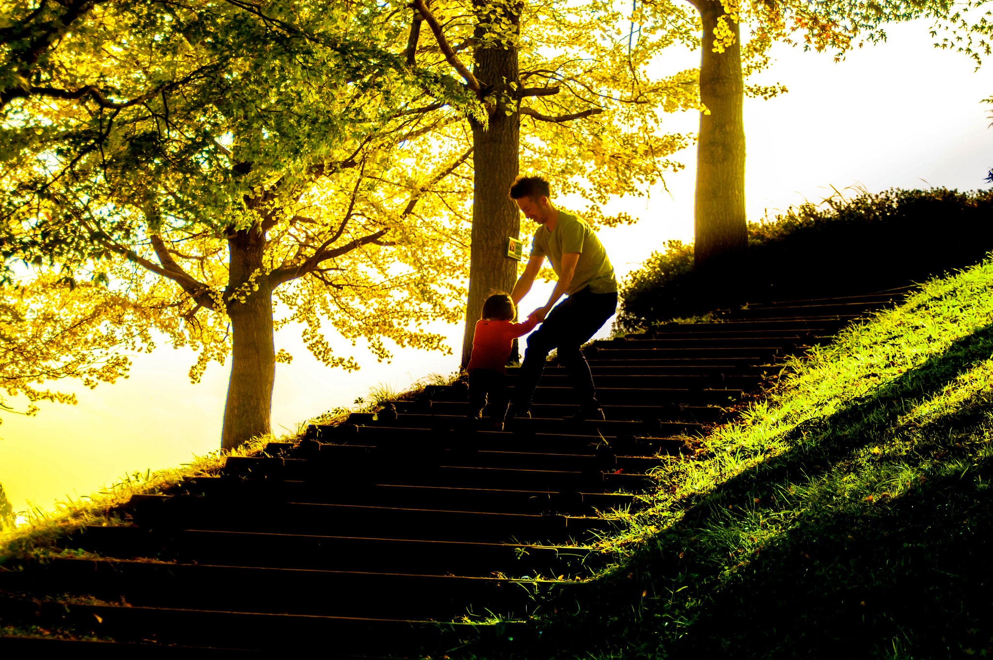 AF Zoom-Nikkor 28-105mm f/3.5-4.5D IF sample photo. In the autumn sunshine photography