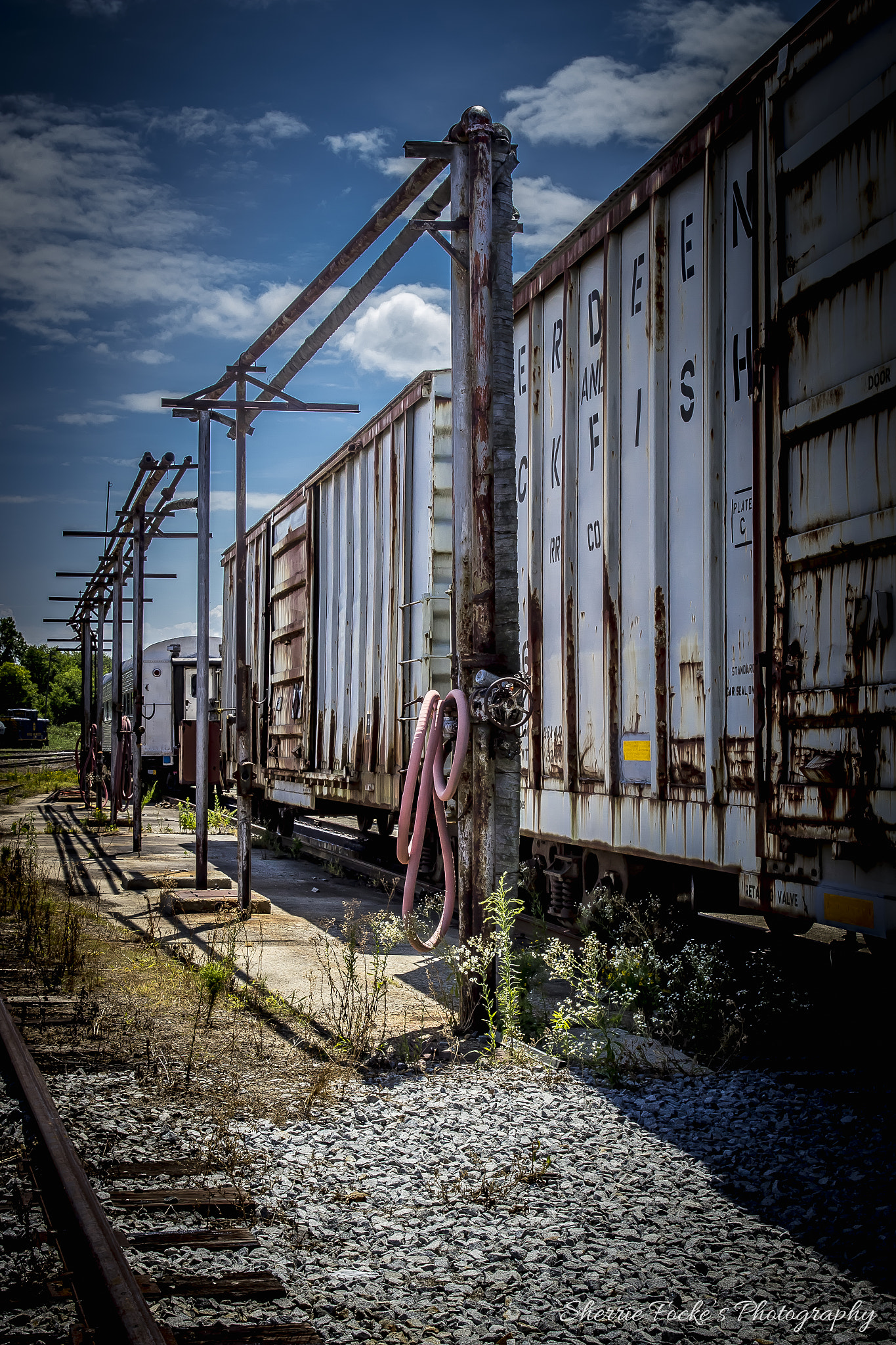 Canon EF 24-70mm F2.8L II USM sample photo. Nc transportation museum pink hose cars photography