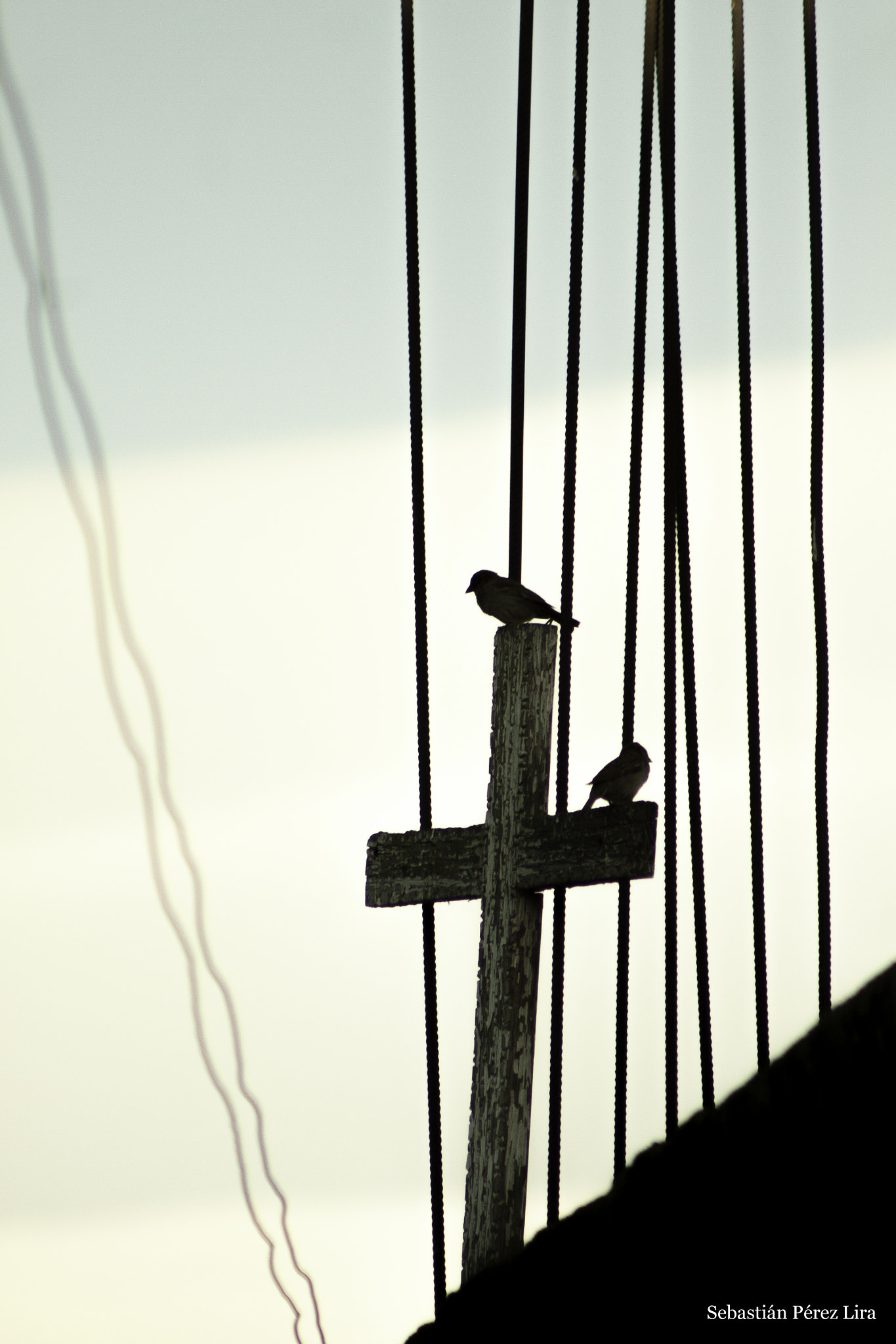 Canon EOS 50D + EF75-300mm f/4-5.6 sample photo. ¿estamos mas cerca de dios? photography