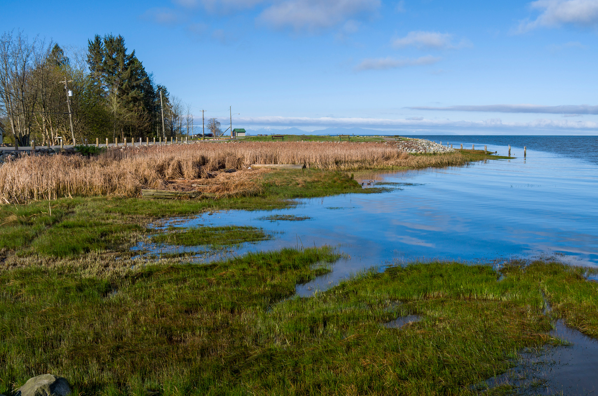 Leica X-E (TYP 102) sample photo. Terra nova photography