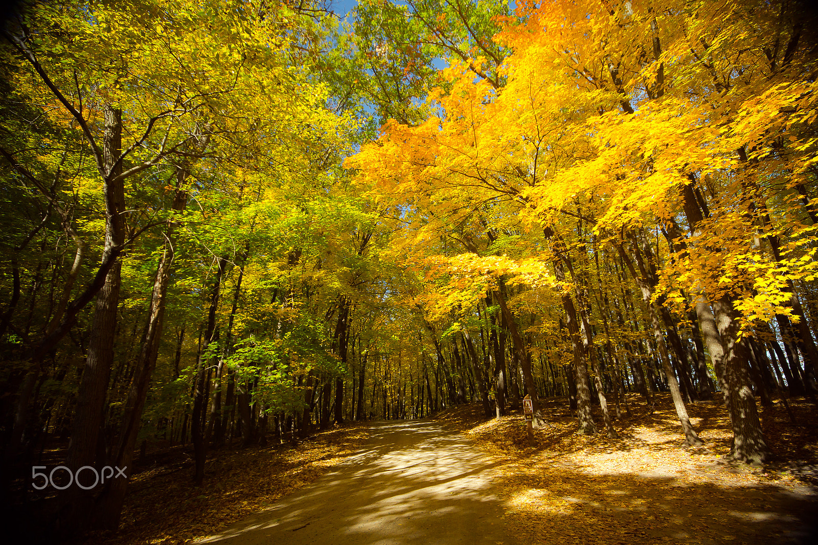 Canon EOS 6D + Sigma 10-20mm F4-5.6 EX DC HSM sample photo. Color of fall photography