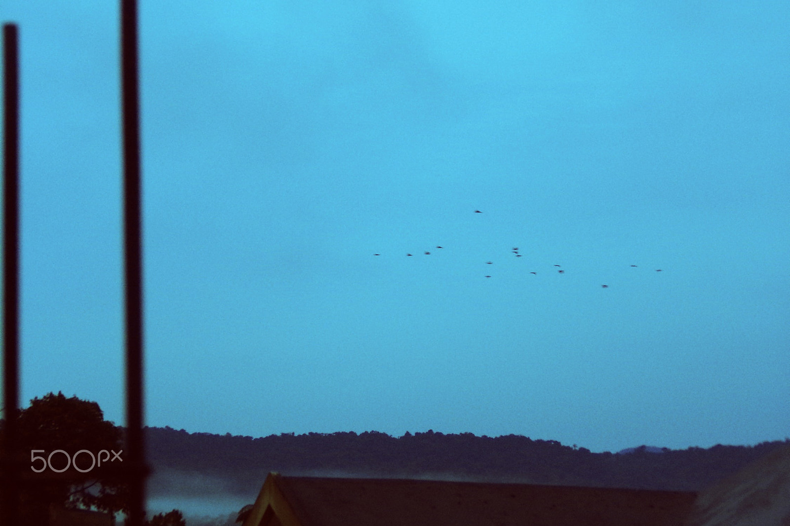 Kodak PIXPRO AZ501 sample photo. Birds flying over the lonely city photography