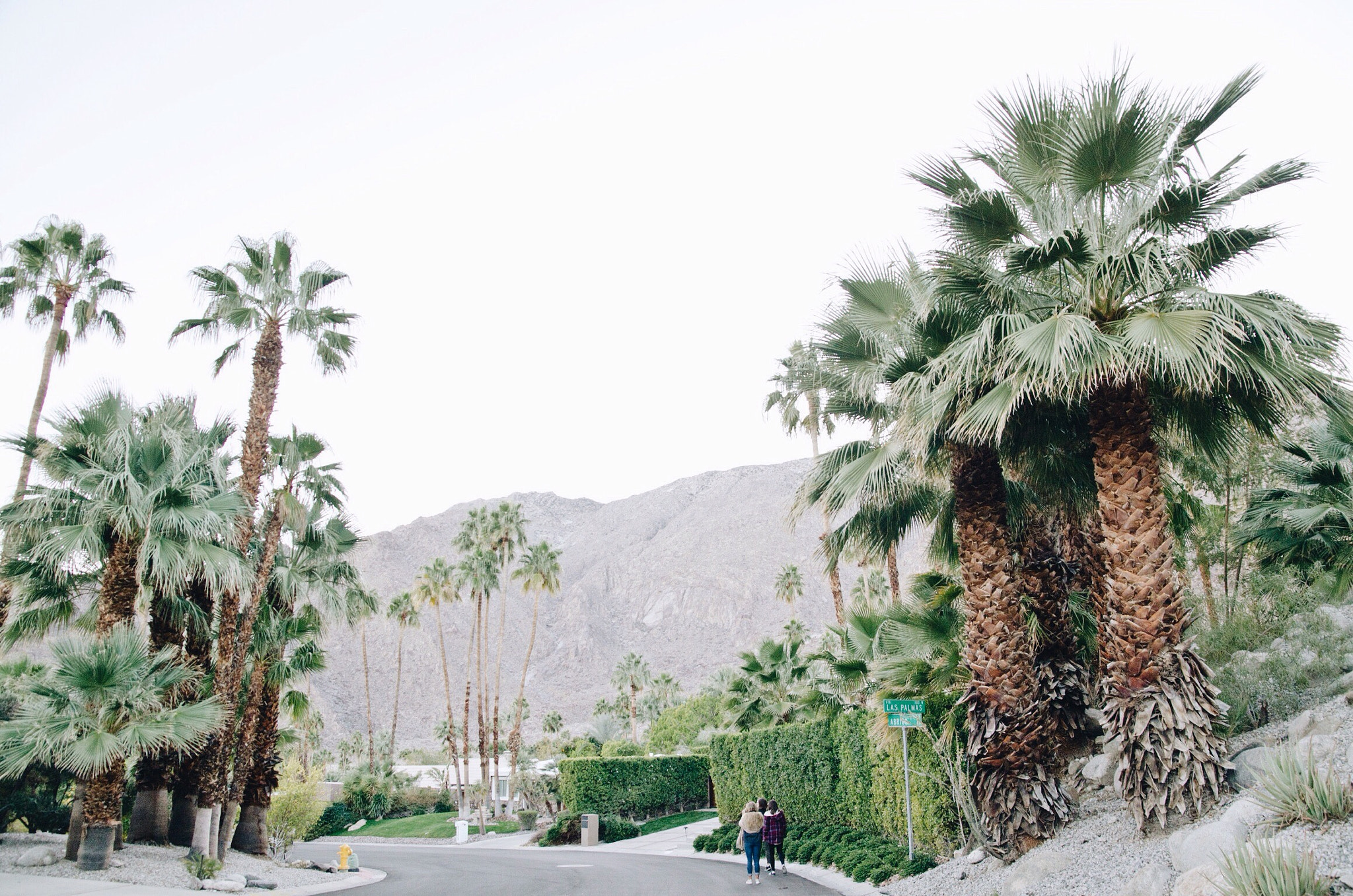 Sigma 17-70mm F2.8-4.5 DC Macro Asp. IF sample photo. Palm springs, ca photography