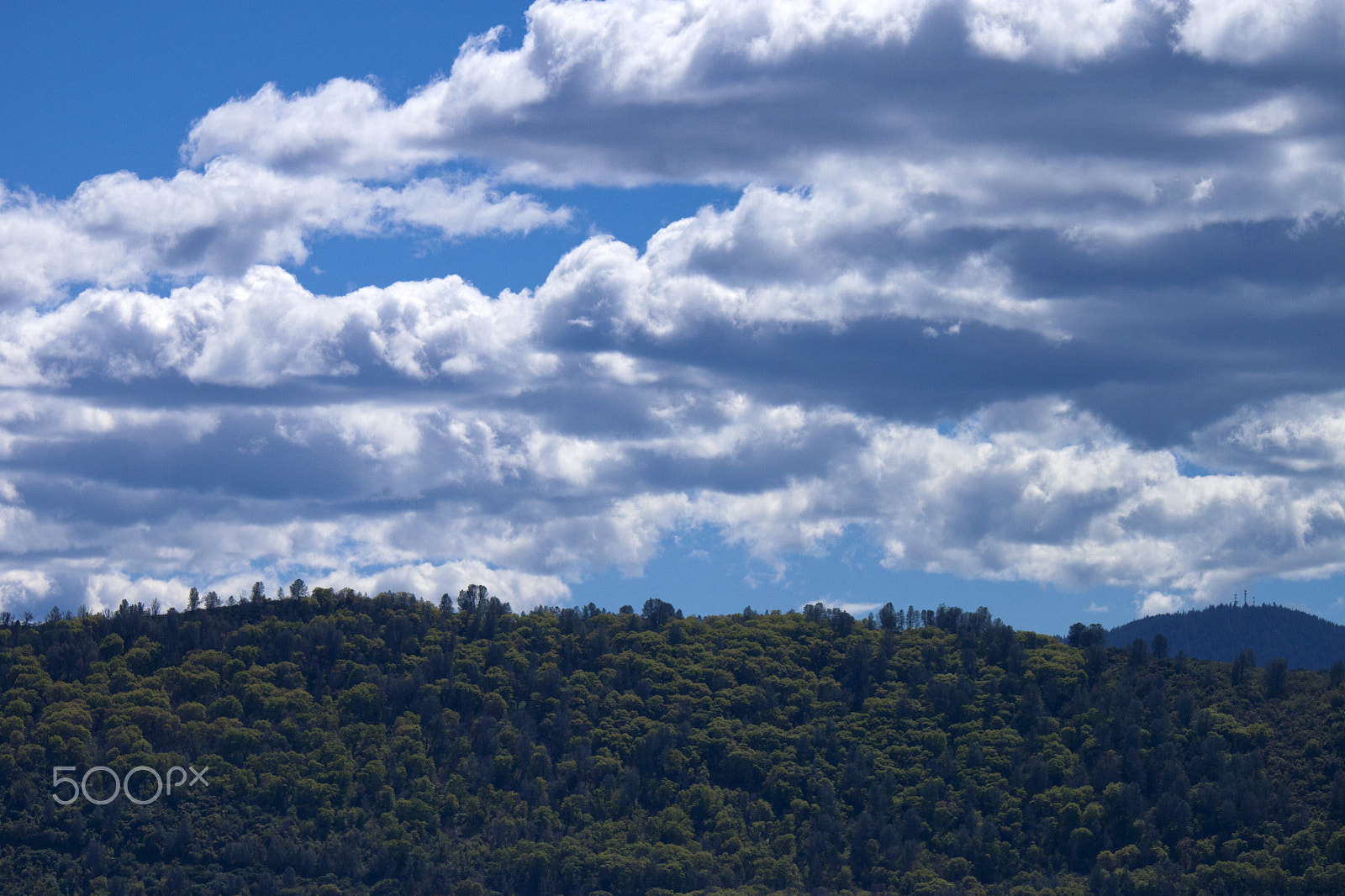 Canon EOS 500D (EOS Rebel T1i / EOS Kiss X3) sample photo. Lush photography