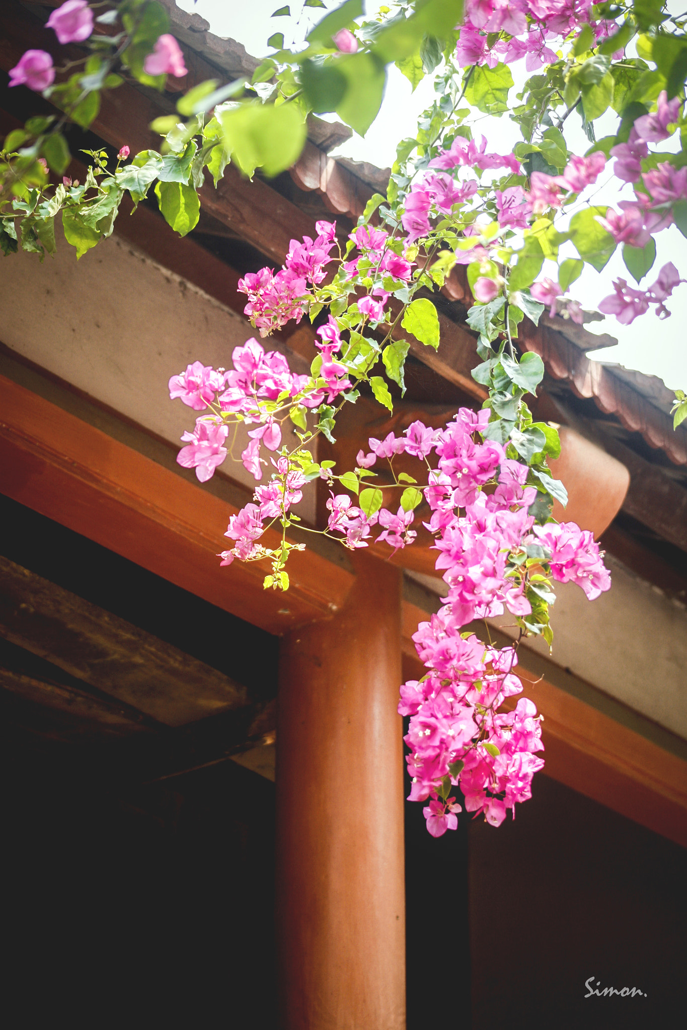 Canon EOS 5D + EF75-300mm f/4-5.6 sample photo. Summer sign photography