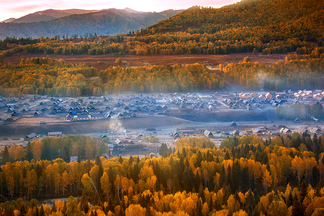 Sony 70-300mm F4.5-5.6 G SSM sample photo. In the autumn morning photography