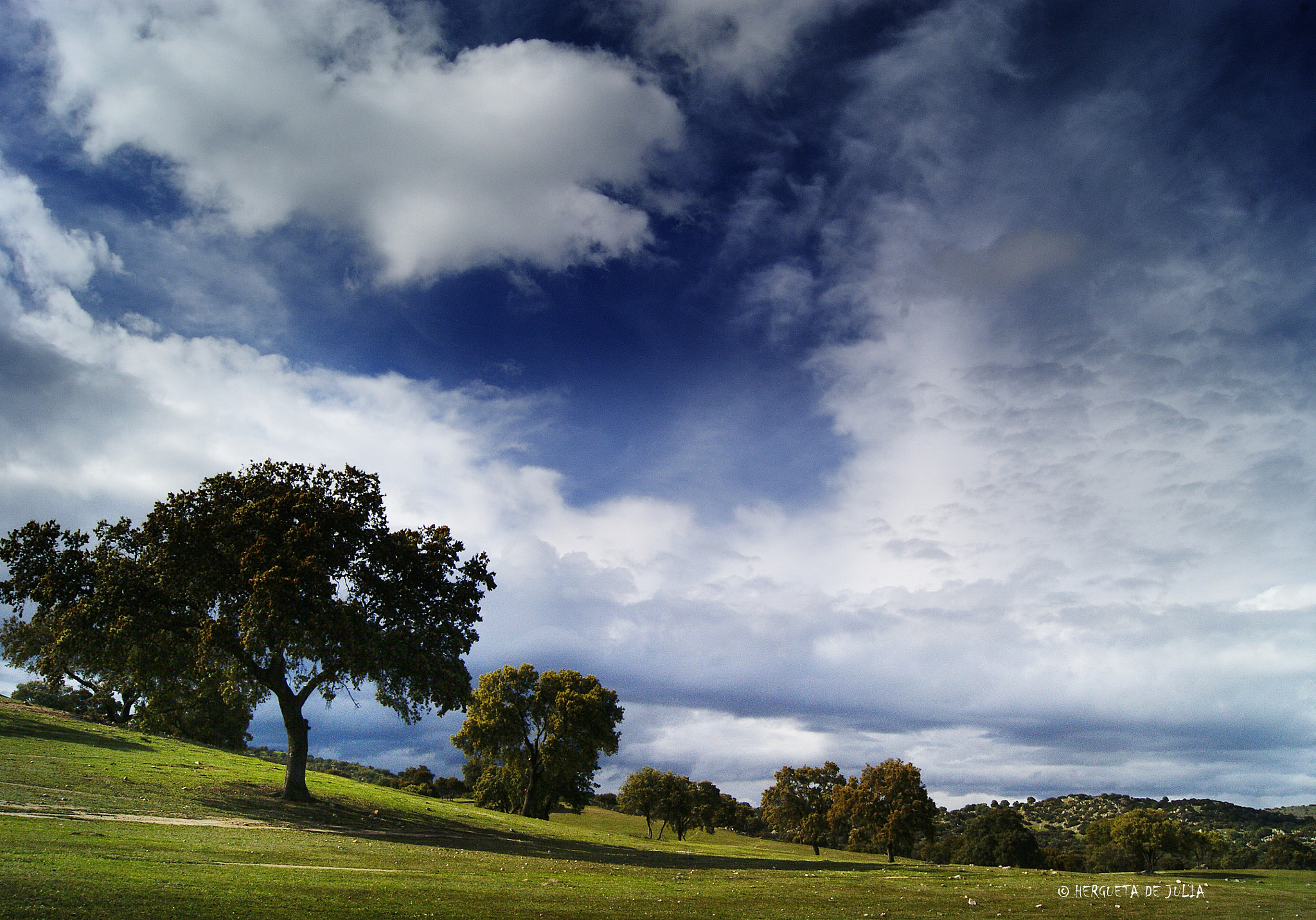 Sony DT 18-55mm F3.5-5.6 SAM sample photo. Dehesa. photography