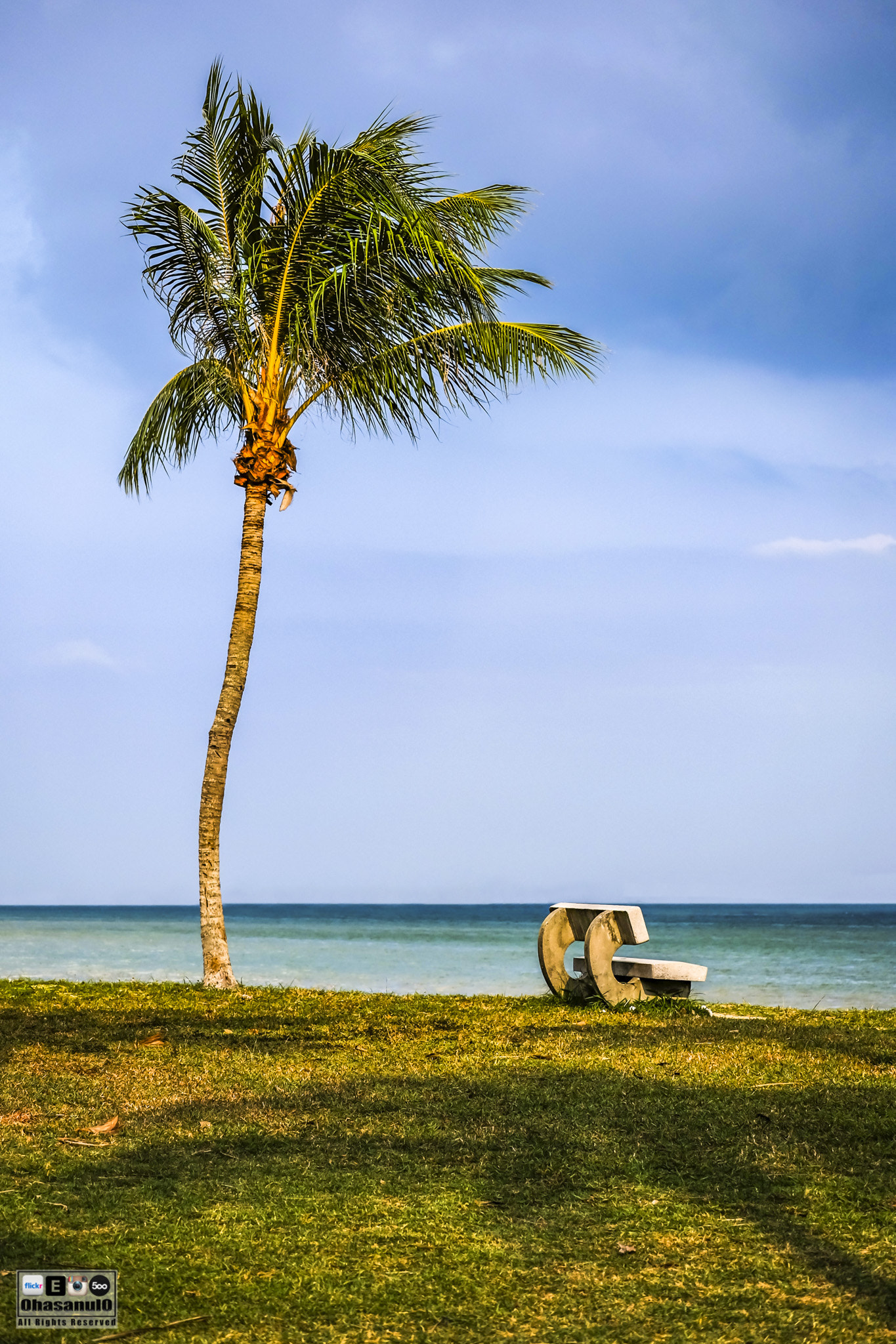 Fujifilm X-M1 + Fujifilm XC 50-230mm F4.5-6.7 OIS II sample photo. A place to relax.. photography