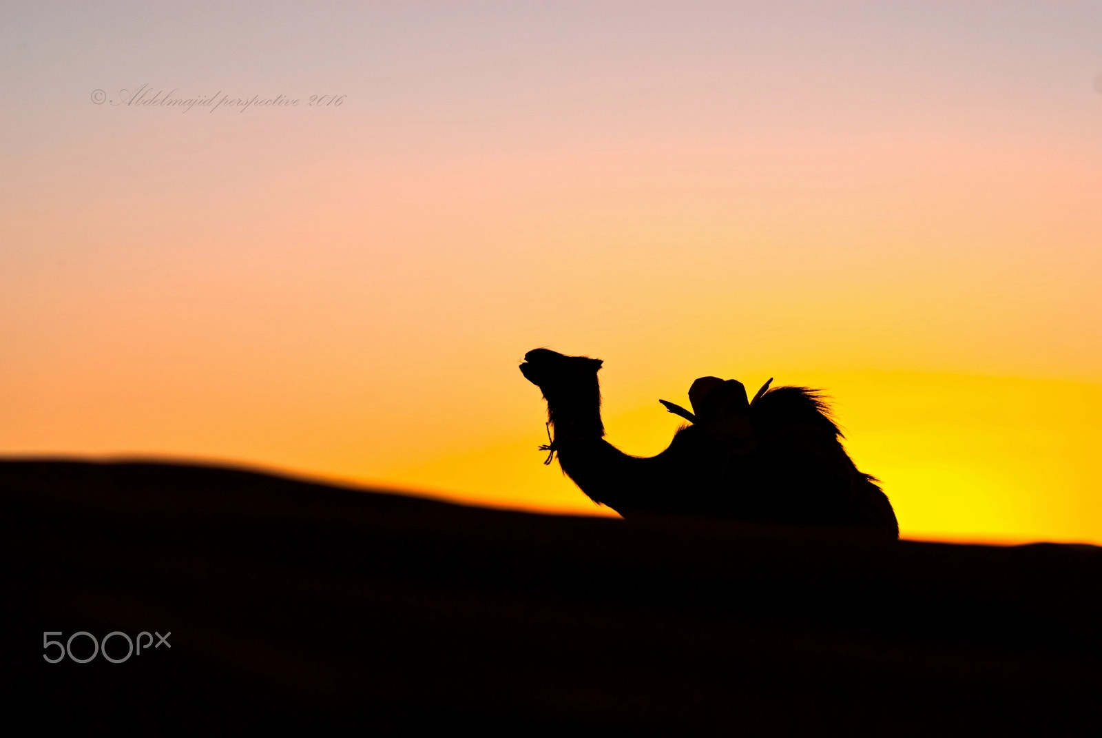 Nikon D200 sample photo. End of the day...!! photography