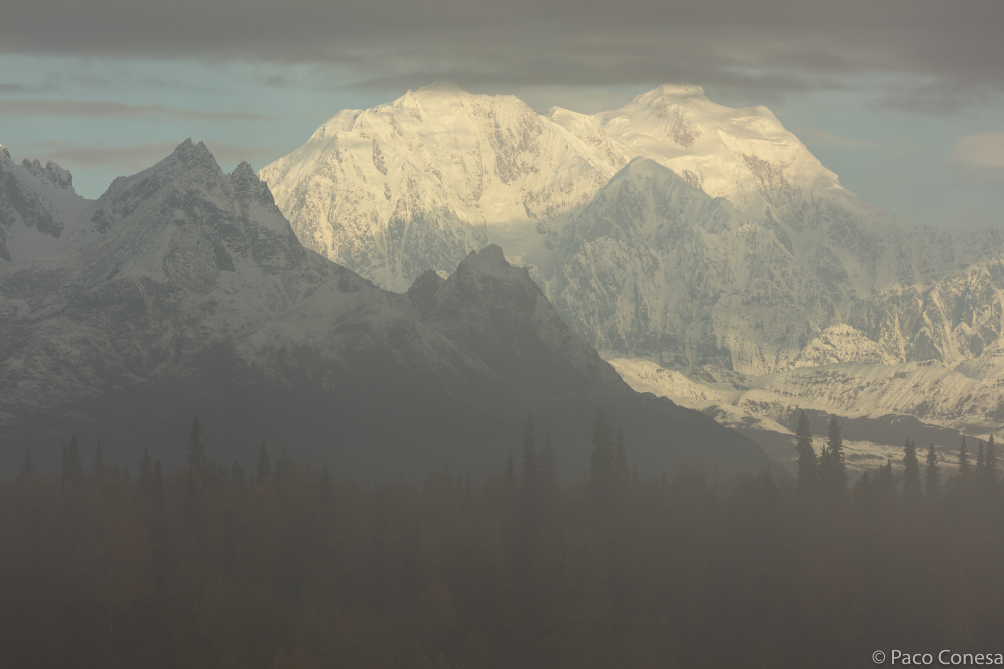 Canon EF 200-400mm F4L IS USM Extender 1.4x sample photo. Window to denali photography