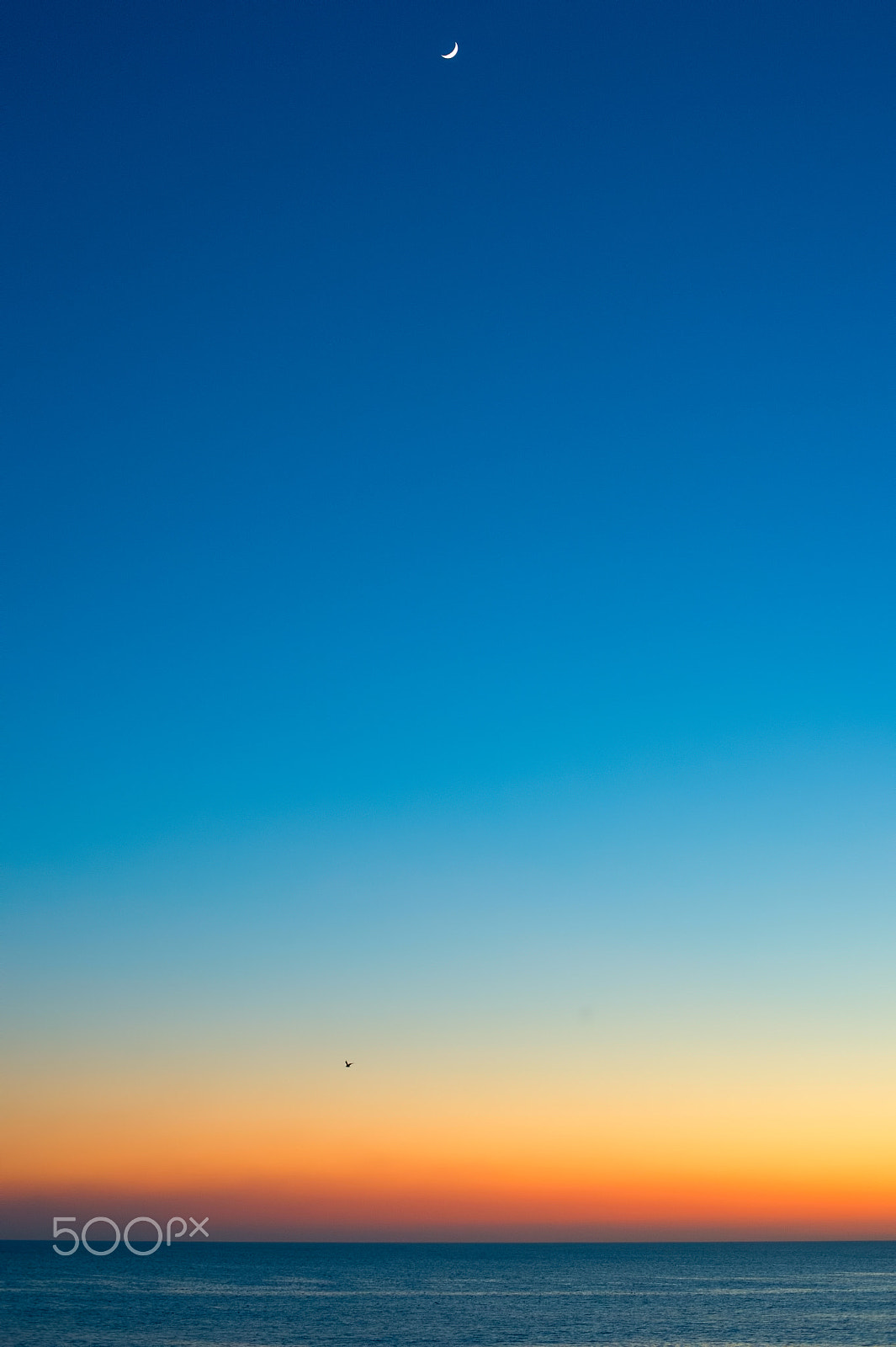 Nikon Df + Nikon AF Nikkor 50mm F1.4D sample photo. Minimalist ocean sunset photography