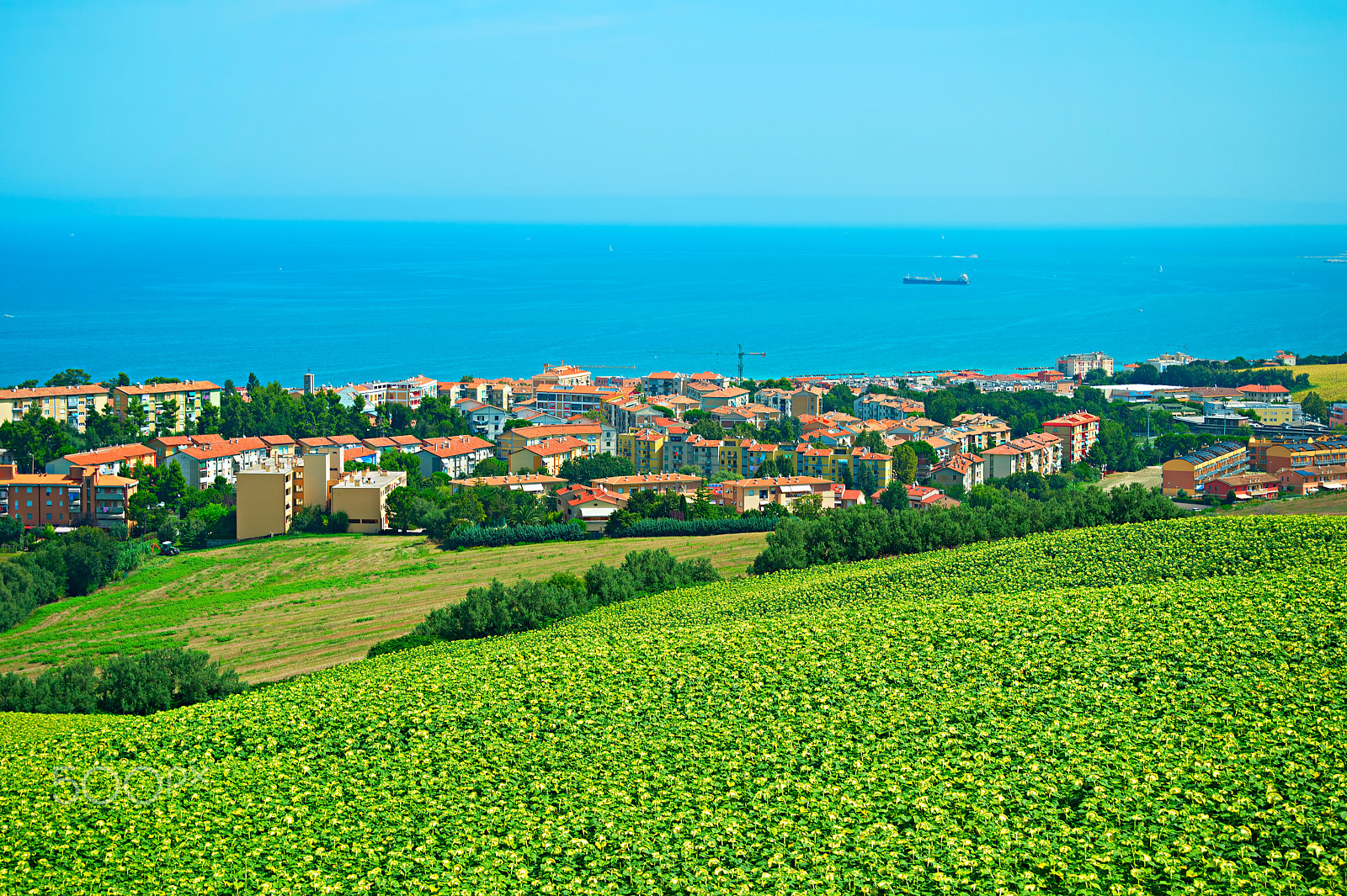 AF Zoom-Nikkor 28-80mm f/3.3-5.6G sample photo. Ancona, italy photography