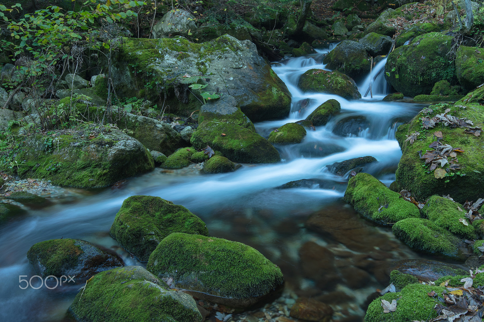 Nikon D4S sample photo. Il torrente pesio photography