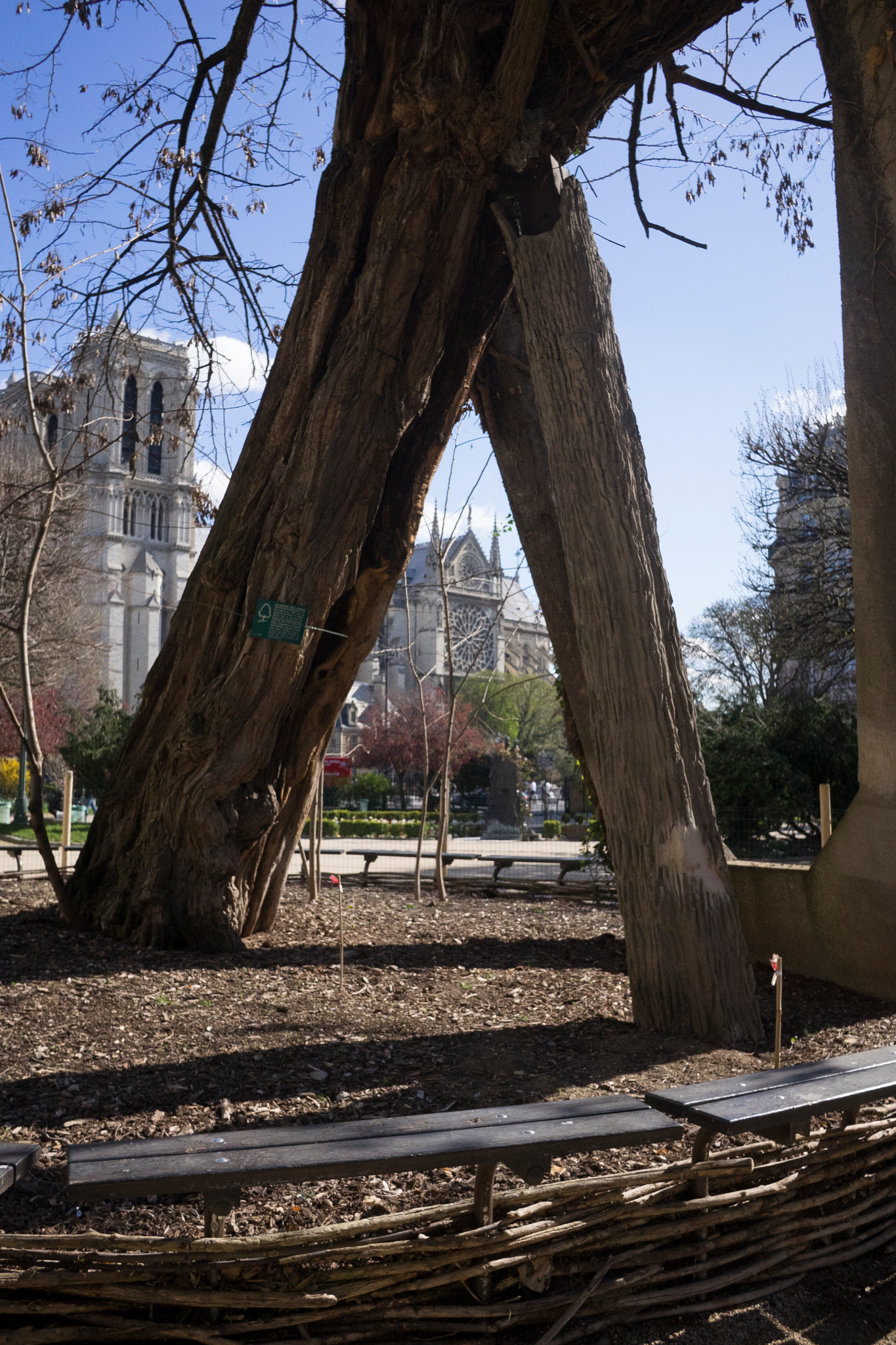 Sony a7 + Sony E 20mm F2.8 sample photo. Paris 6 april 2016 photography