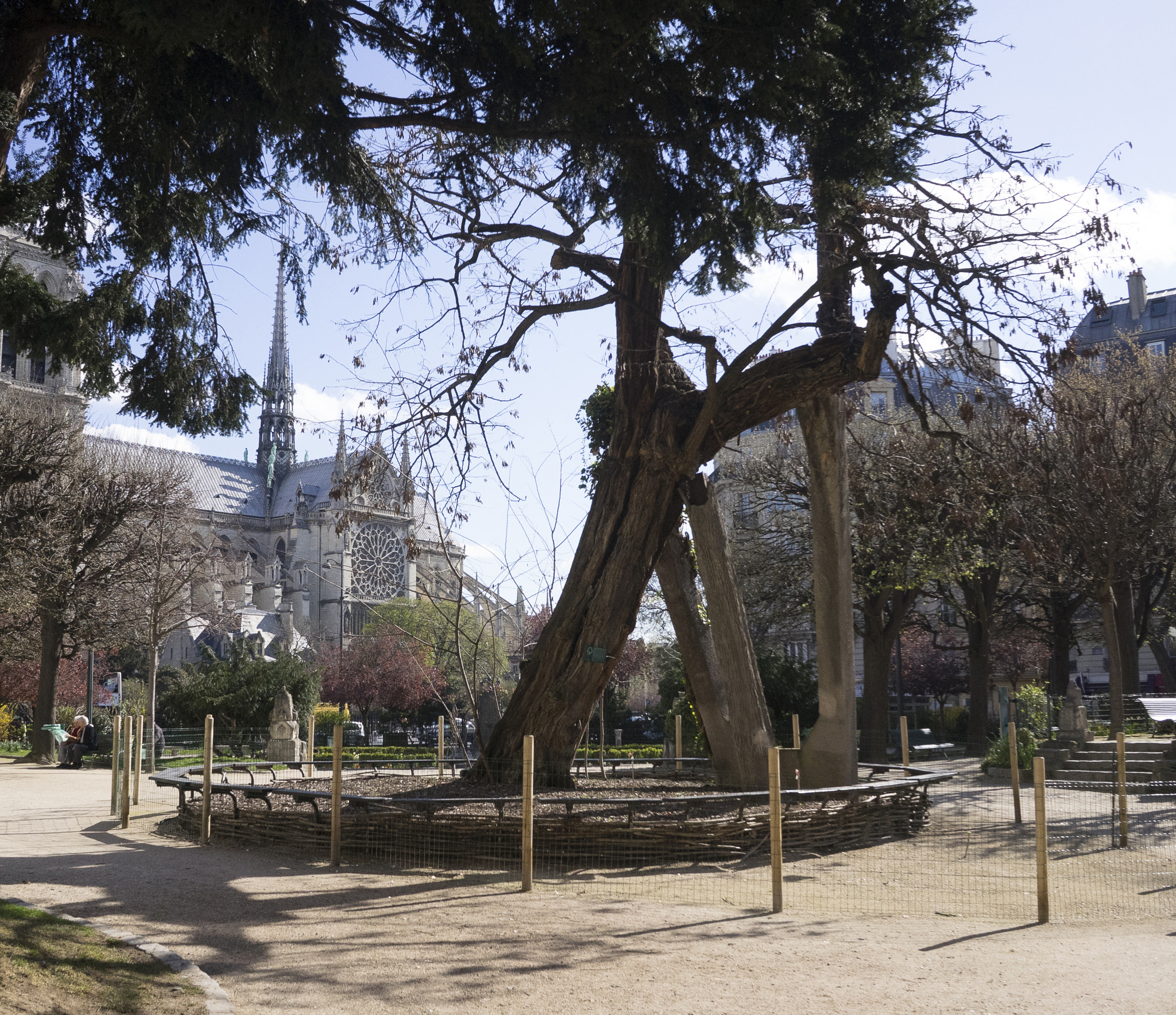 Sony E 20mm F2.8 sample photo. Paris 6 april 2016 photography