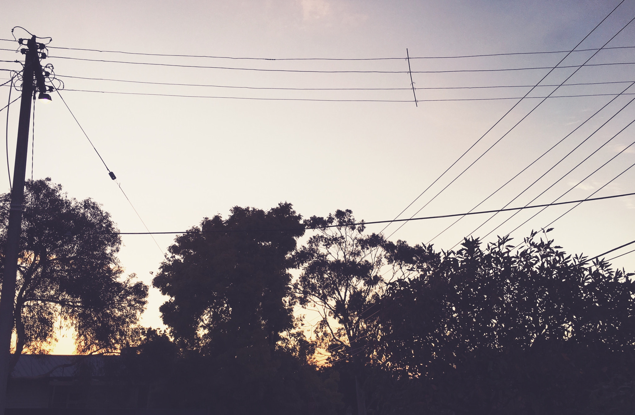 Hipstamatic 312 sample photo