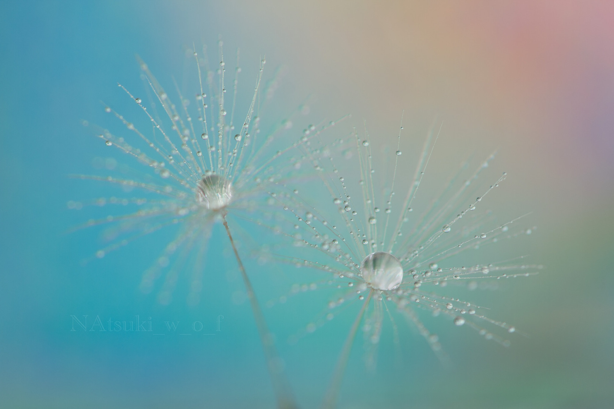 Tamron SP AF 180mm F3.5 Di LD (IF) Macro sample photo. Beautiful world photography