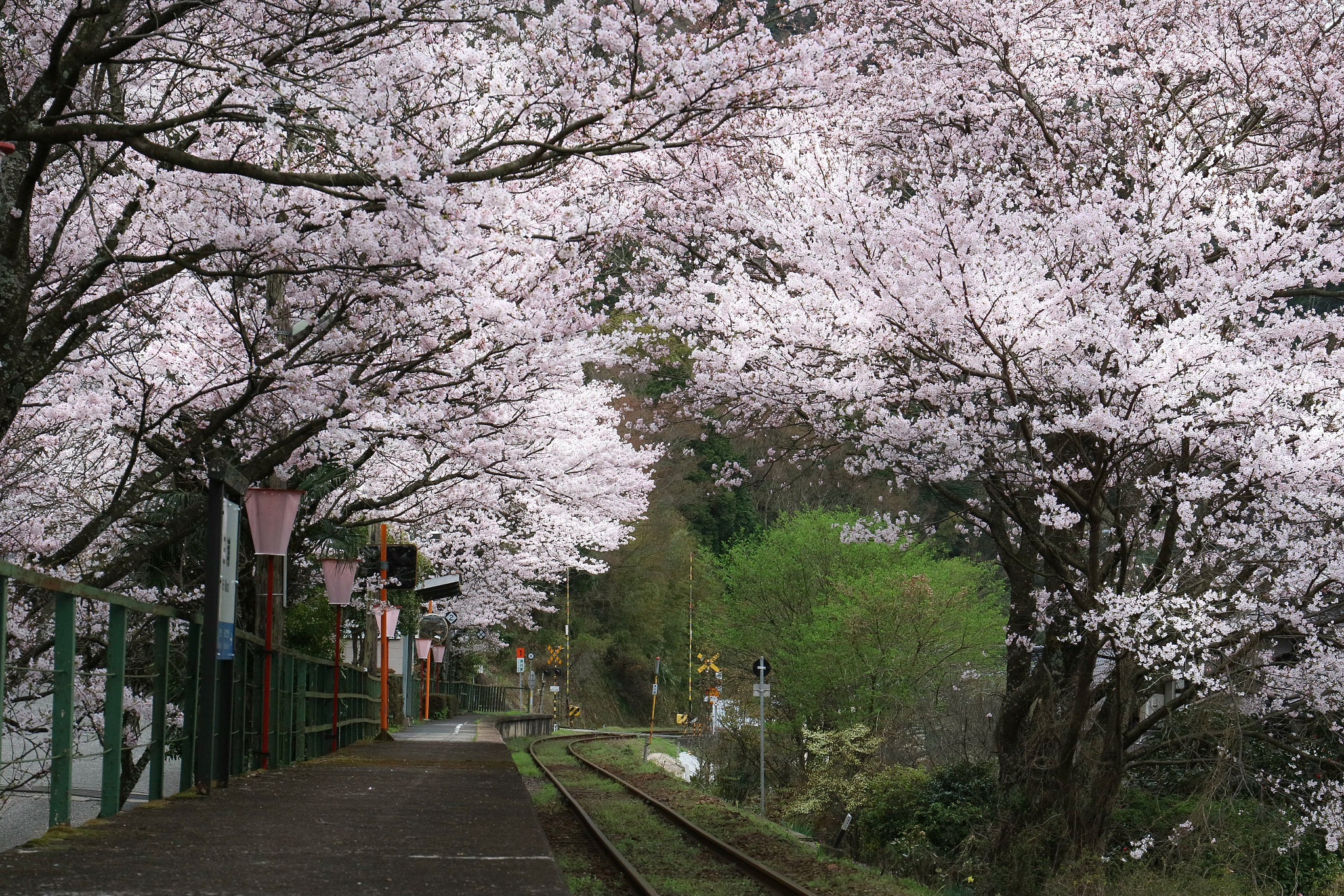 Canon EOS M3 sample photo