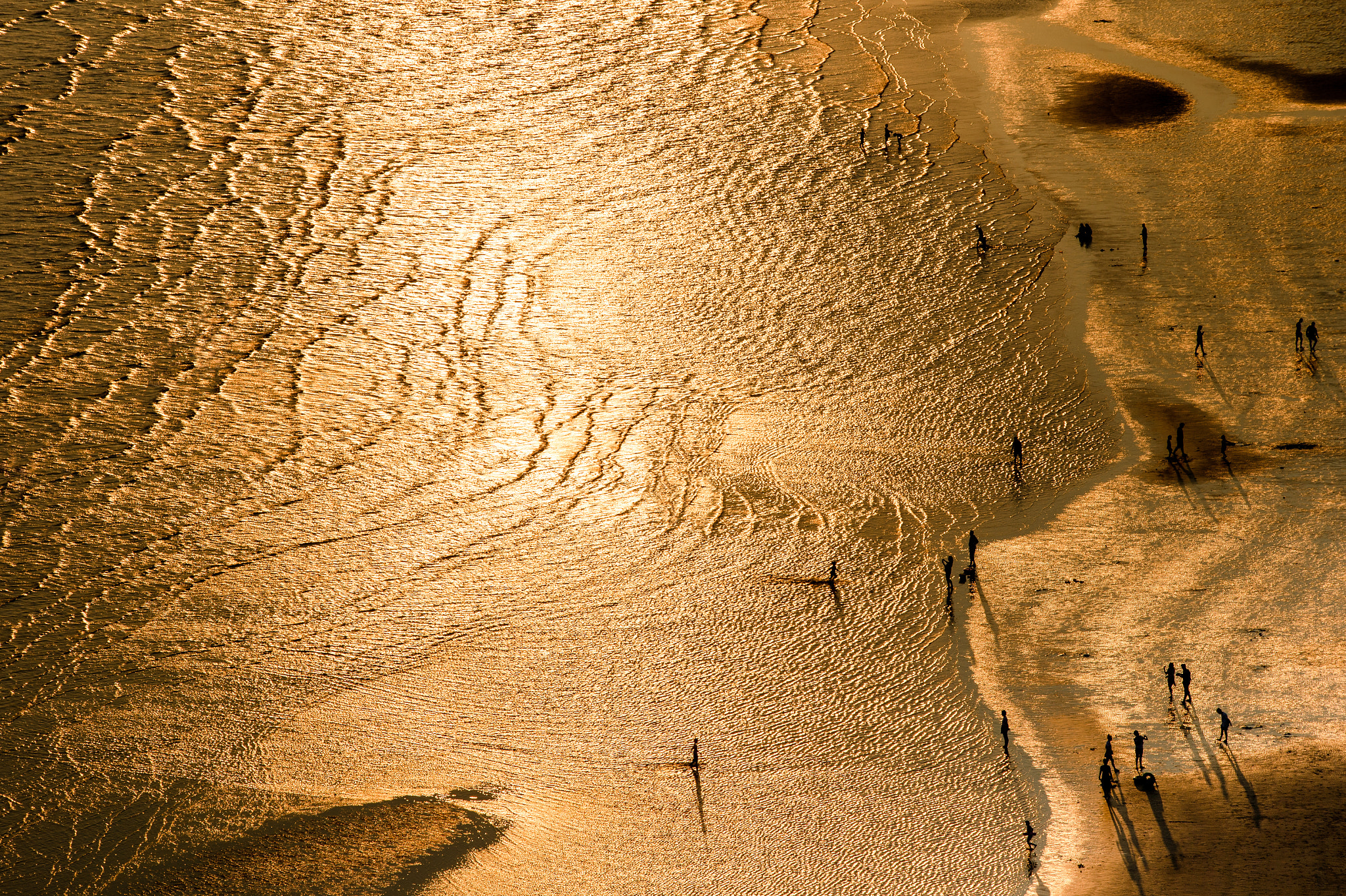 Nikon Df sample photo. Golden sea photography