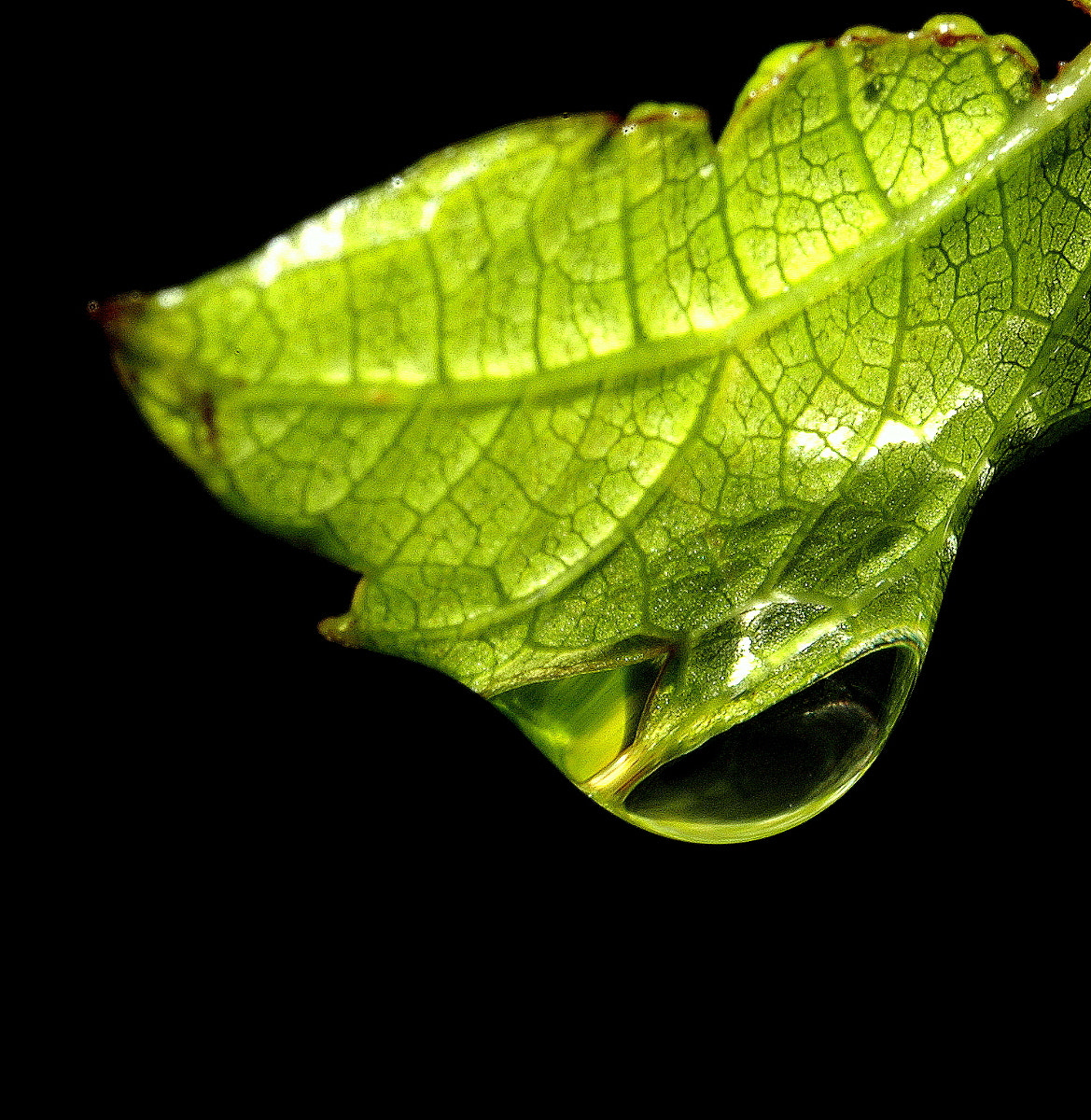 AF Zoom-Nikkor 35-70mm f/3.3-4.5 N sample photo. # photography