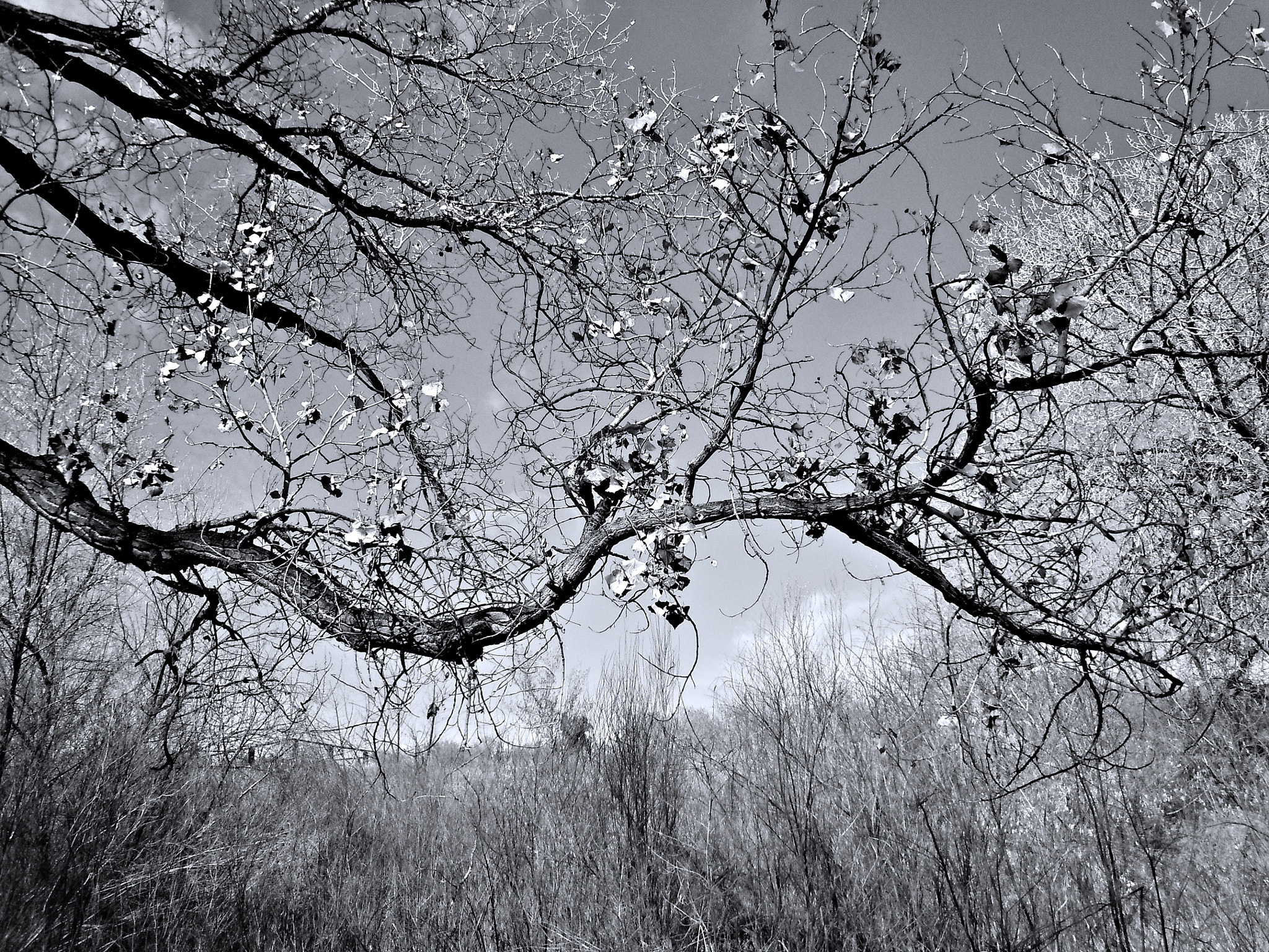 Nikon Coolpix S6000 sample photo. Galisteo new mexico landscape photography