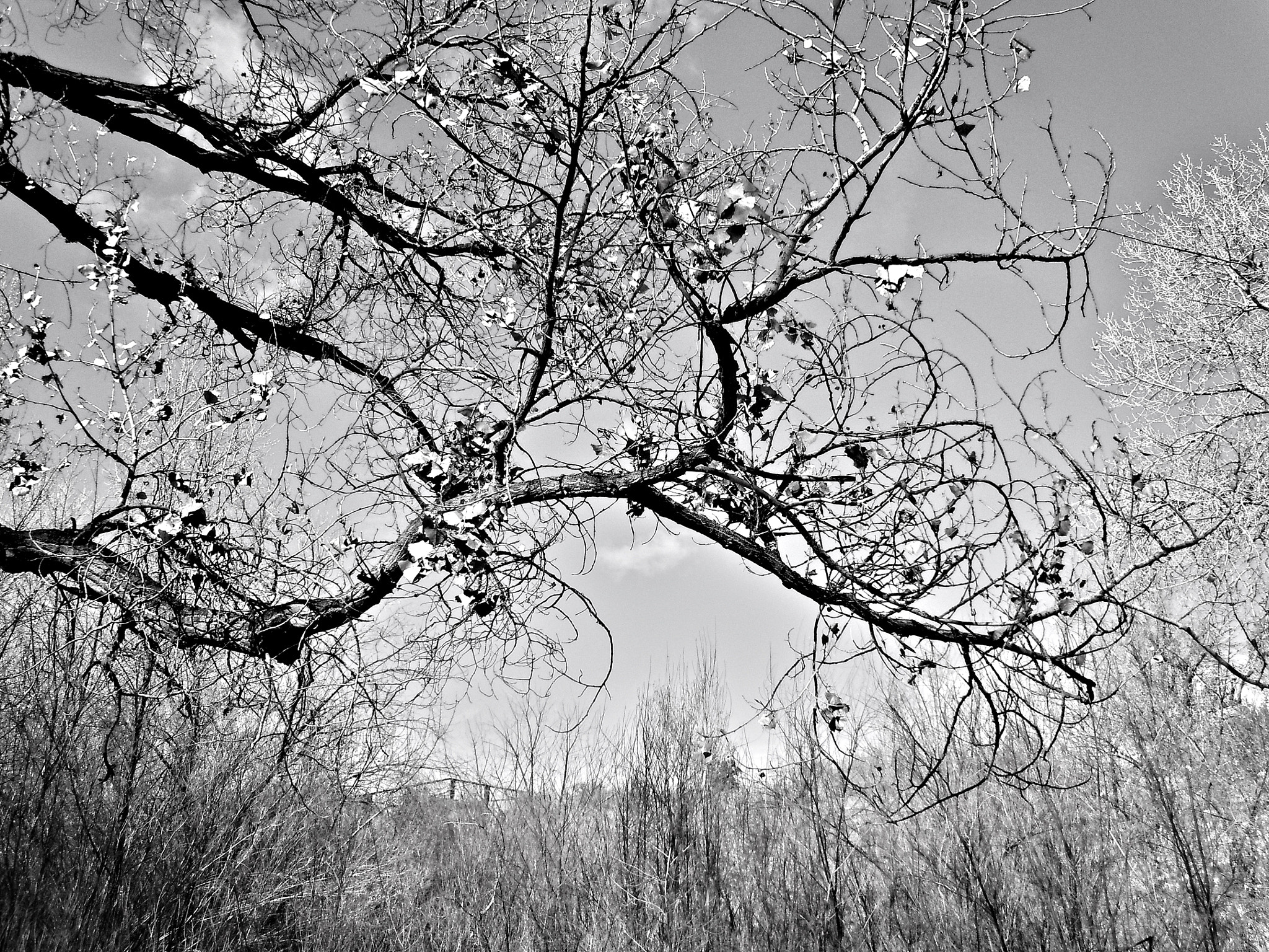 Nikon Coolpix S6000 sample photo. Galisteo new mexico landscape photography