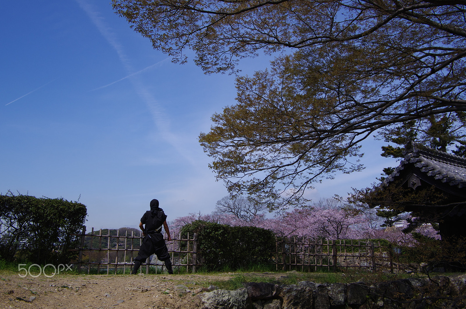 Pentax K-5 IIs + Pentax smc DA 16-45mm F4 ED AL sample photo. Ninja photography