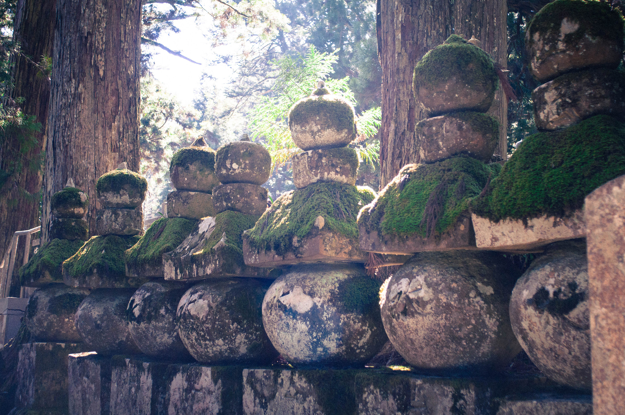 Nikon D90 + AF Nikkor 28mm f/2.8 sample photo. Old cemetery photography