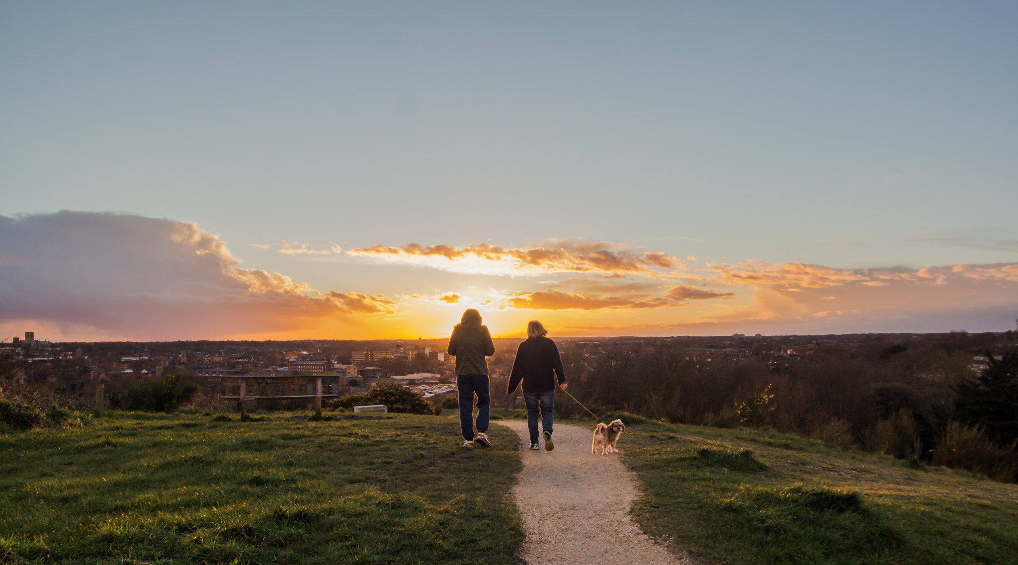 Sony SLT-A77 + Sigma 17-35mm F2.8-4 EX Aspherical sample photo. Walk the dog photography