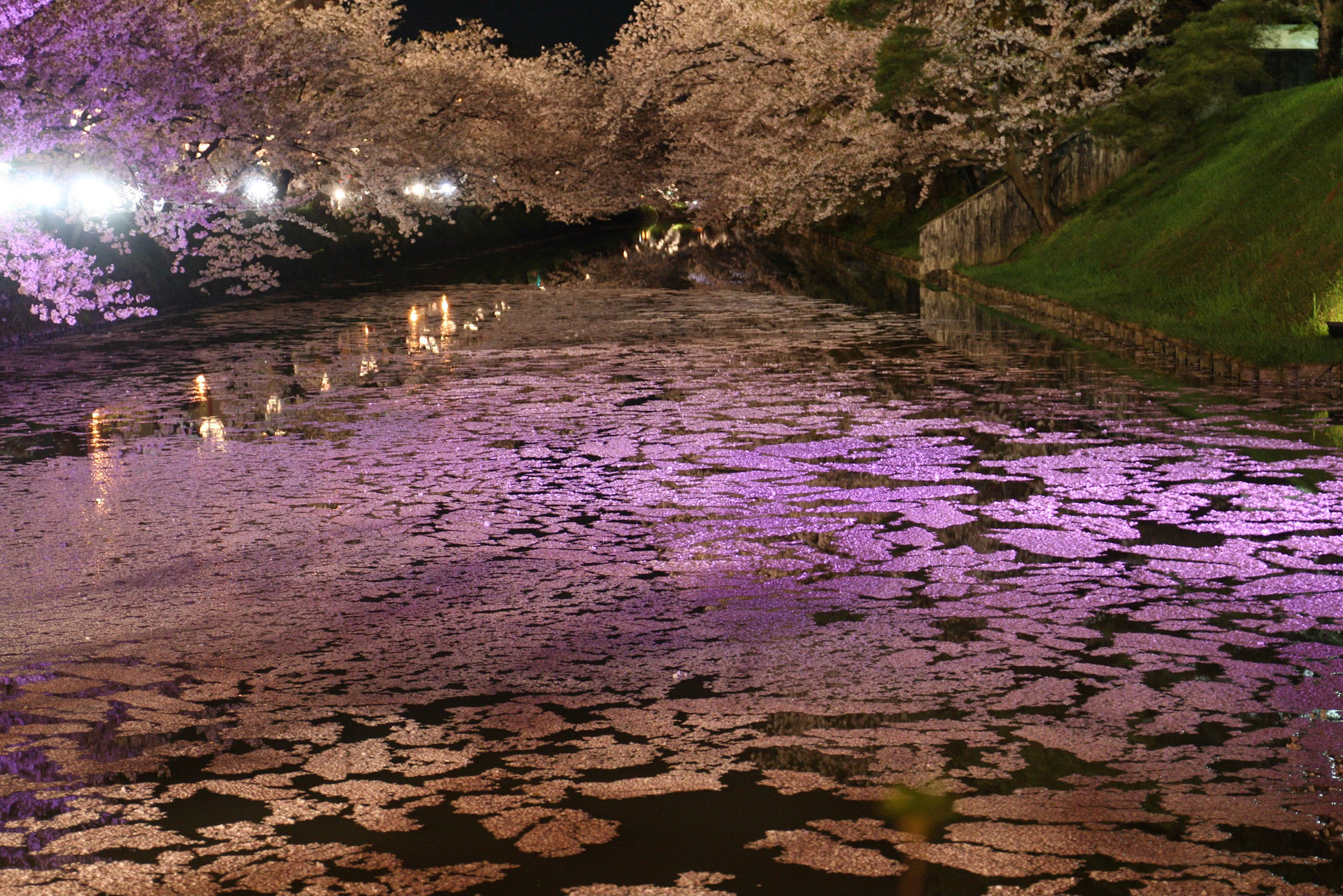Canon EOS-1D Mark III sample photo. This photo was shot at hirosaki castle, photography