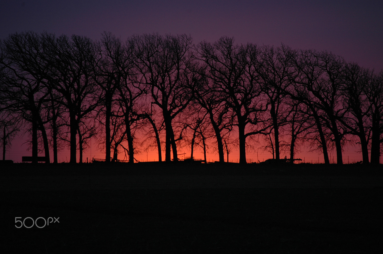 Nikon D70 sample photo. Beautiful sunset in kansas photography