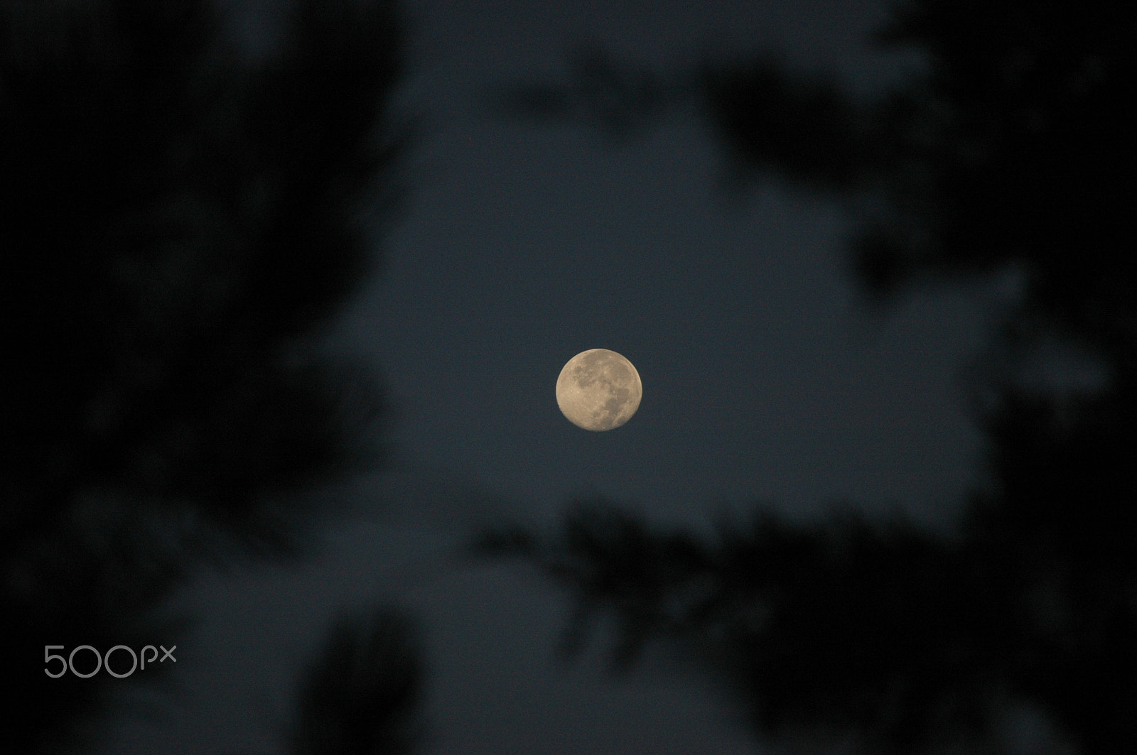 Nikon D70 sample photo. Full moon photography
