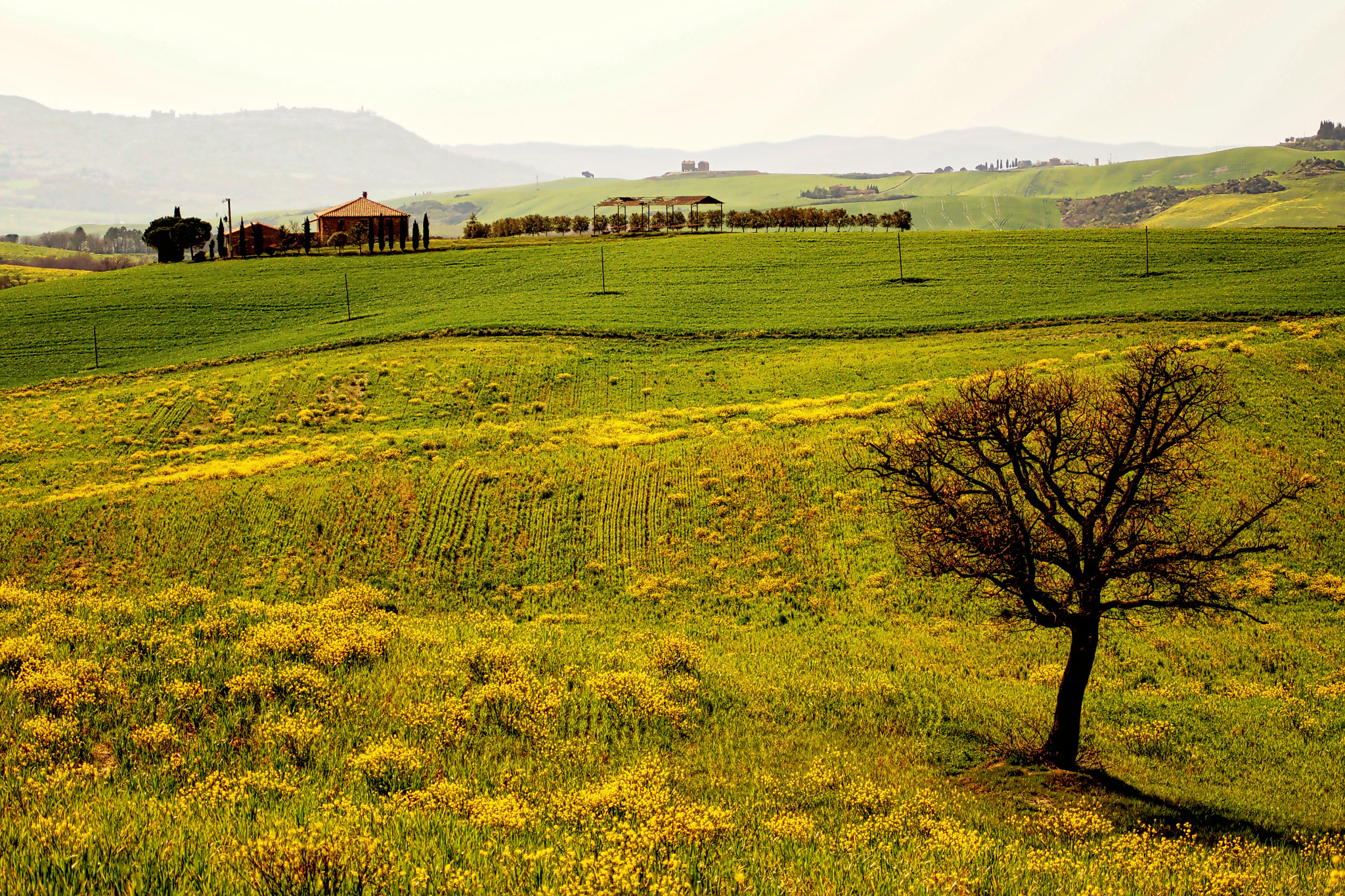 Sony SLT-A65 (SLT-A65V) + Minolta AF 70-210mm F4 Macro sample photo. Tuscany val d'orcia photography