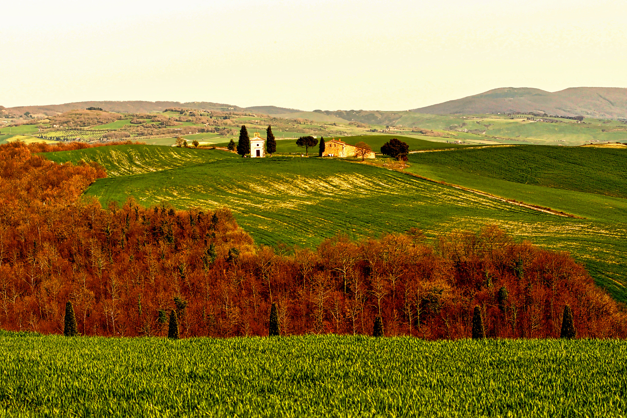 Sony SLT-A65 (SLT-A65V) + Minolta AF 70-210mm F4 Macro sample photo. Tuscany val d'orcia photography