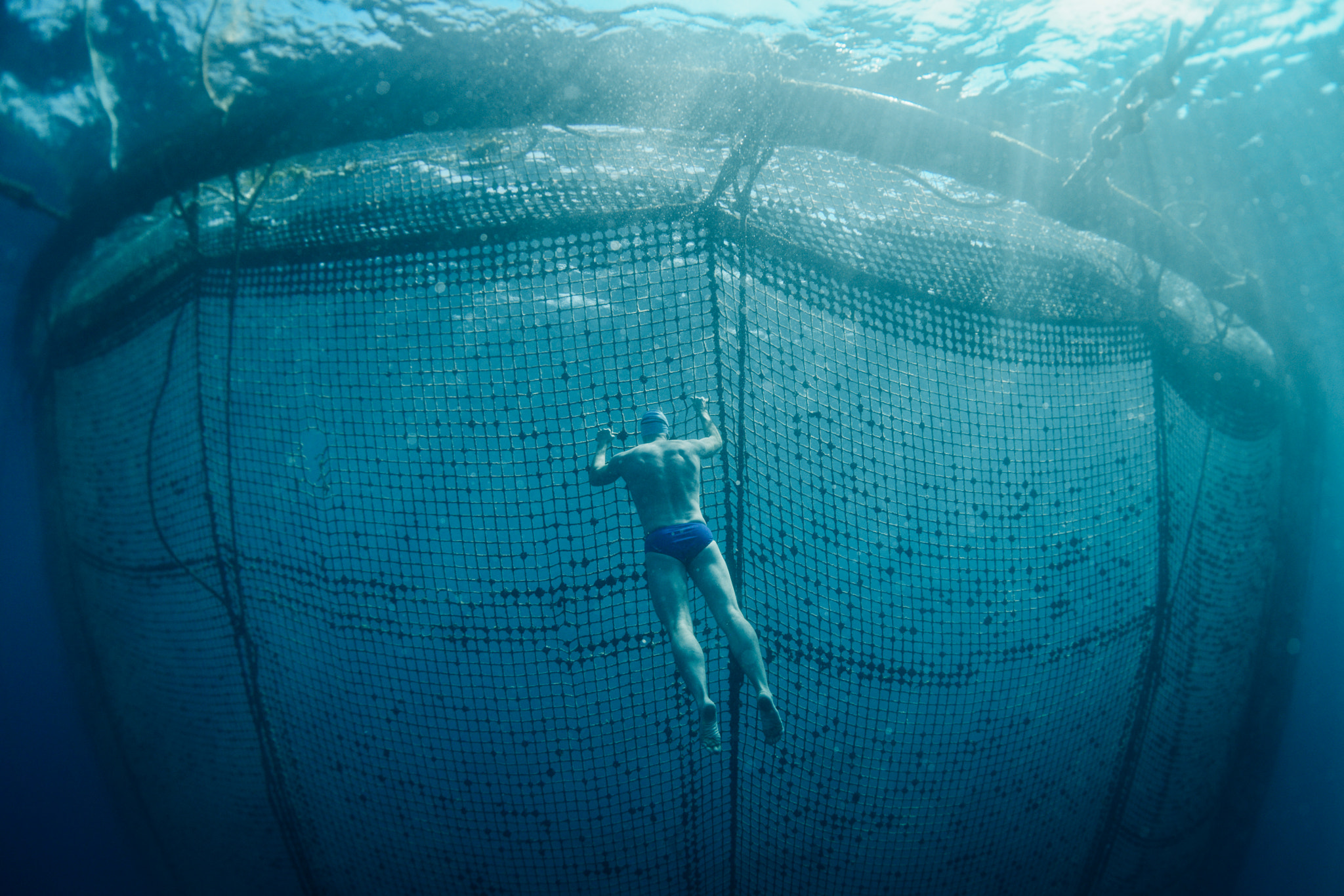 Nikon D800 + Nikon AF Fisheye-Nikkor 16mm F2.8D sample photo. Exploring the adriatic sea photography