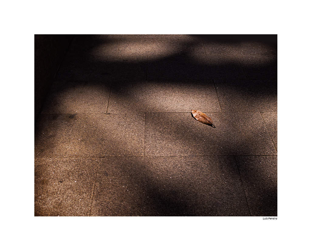 Olympus OM-D E-M5 + Sigma 30mm F2.8 EX DN sample photo. 14.00 photography