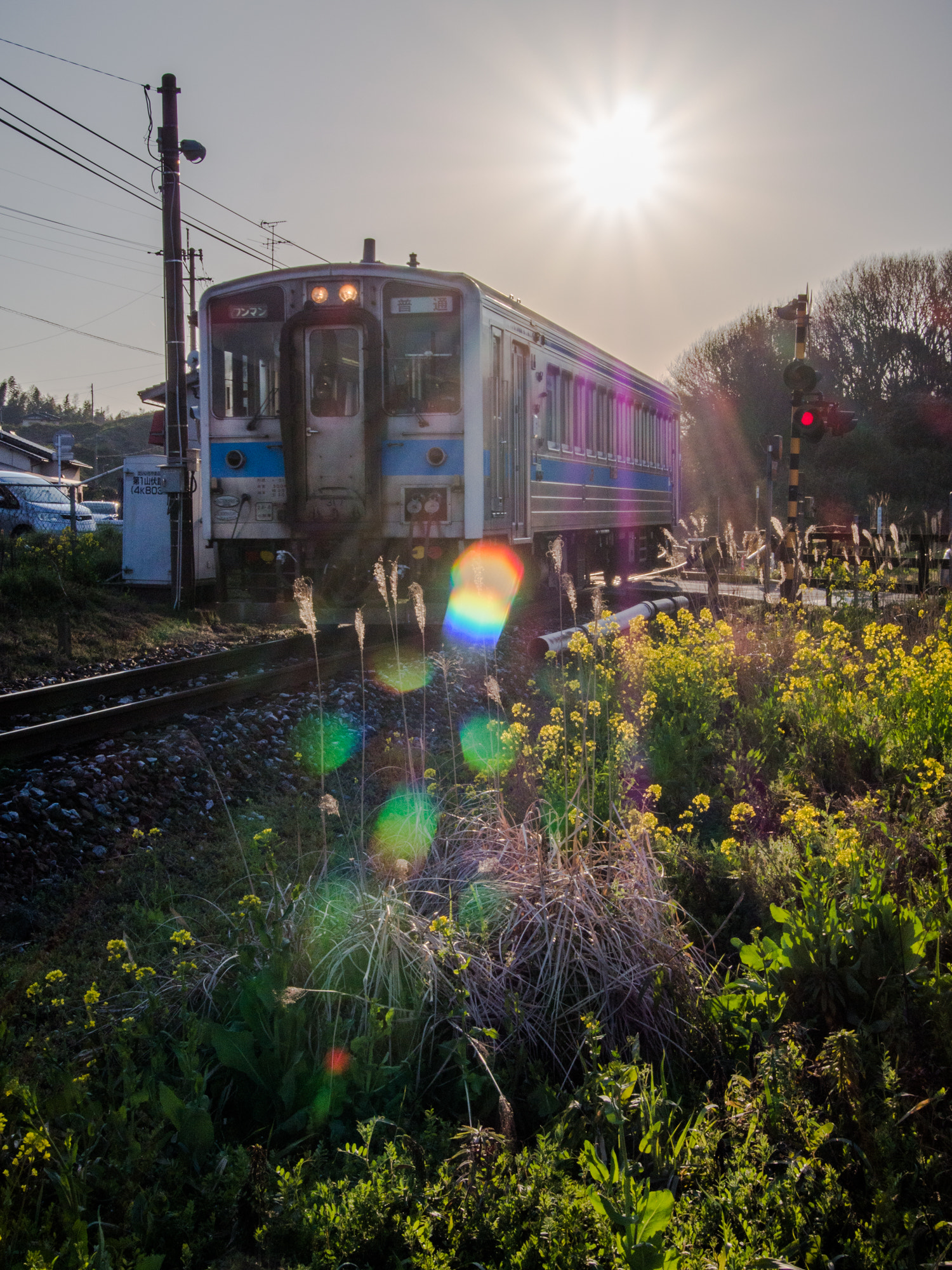 Olympus PEN E-PL5 sample photo. Gotoji-line and rape flowers photography
