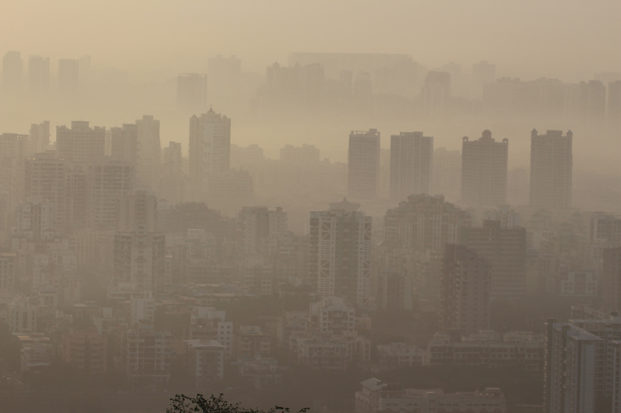 Canon EF 100-400mm F4.5-5.6L IS II USM sample photo. Smoggy morning photography