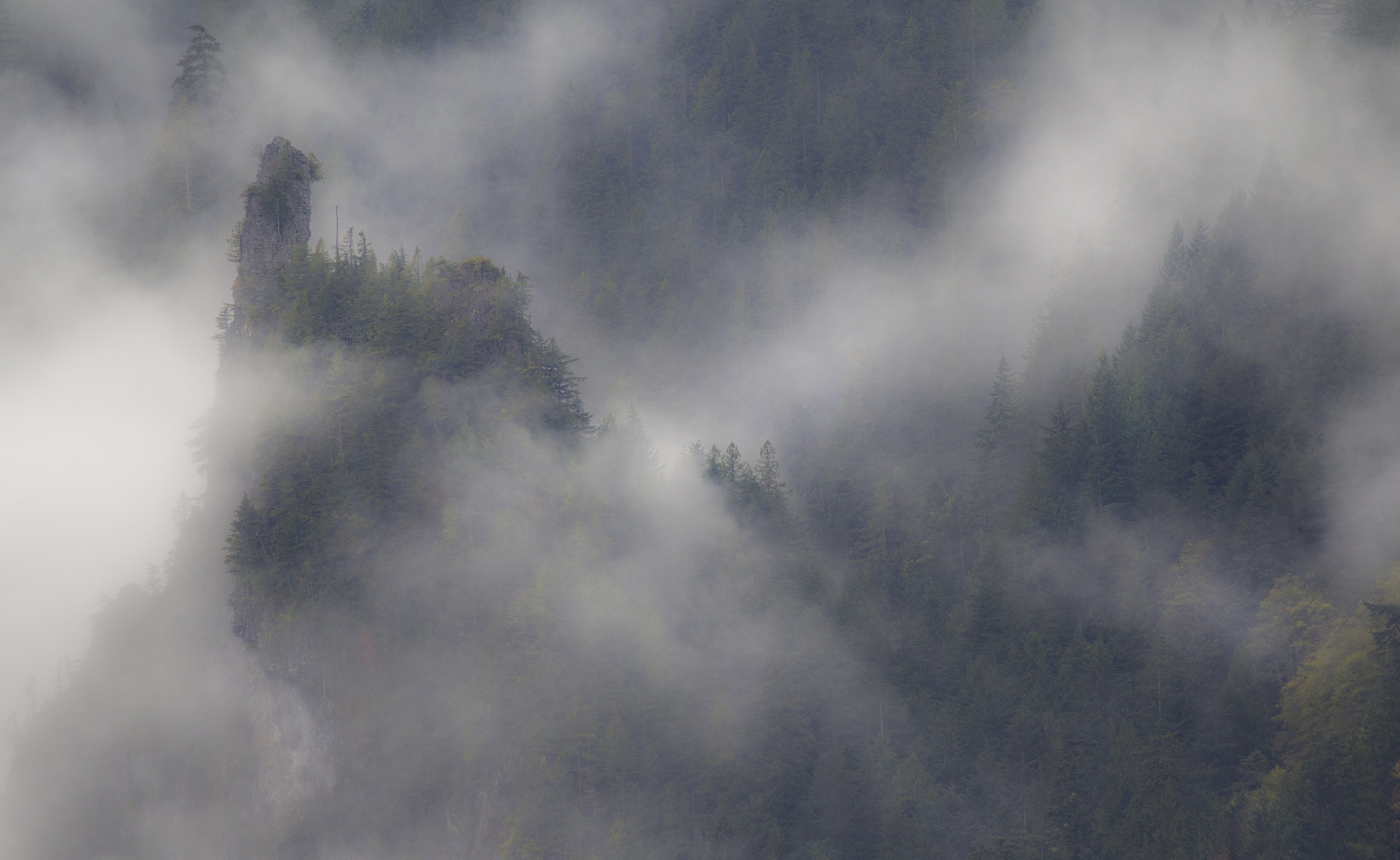 Canon EF 100-400mm F4.5-5.6L IS USM sample photo. Nature and glory. photography