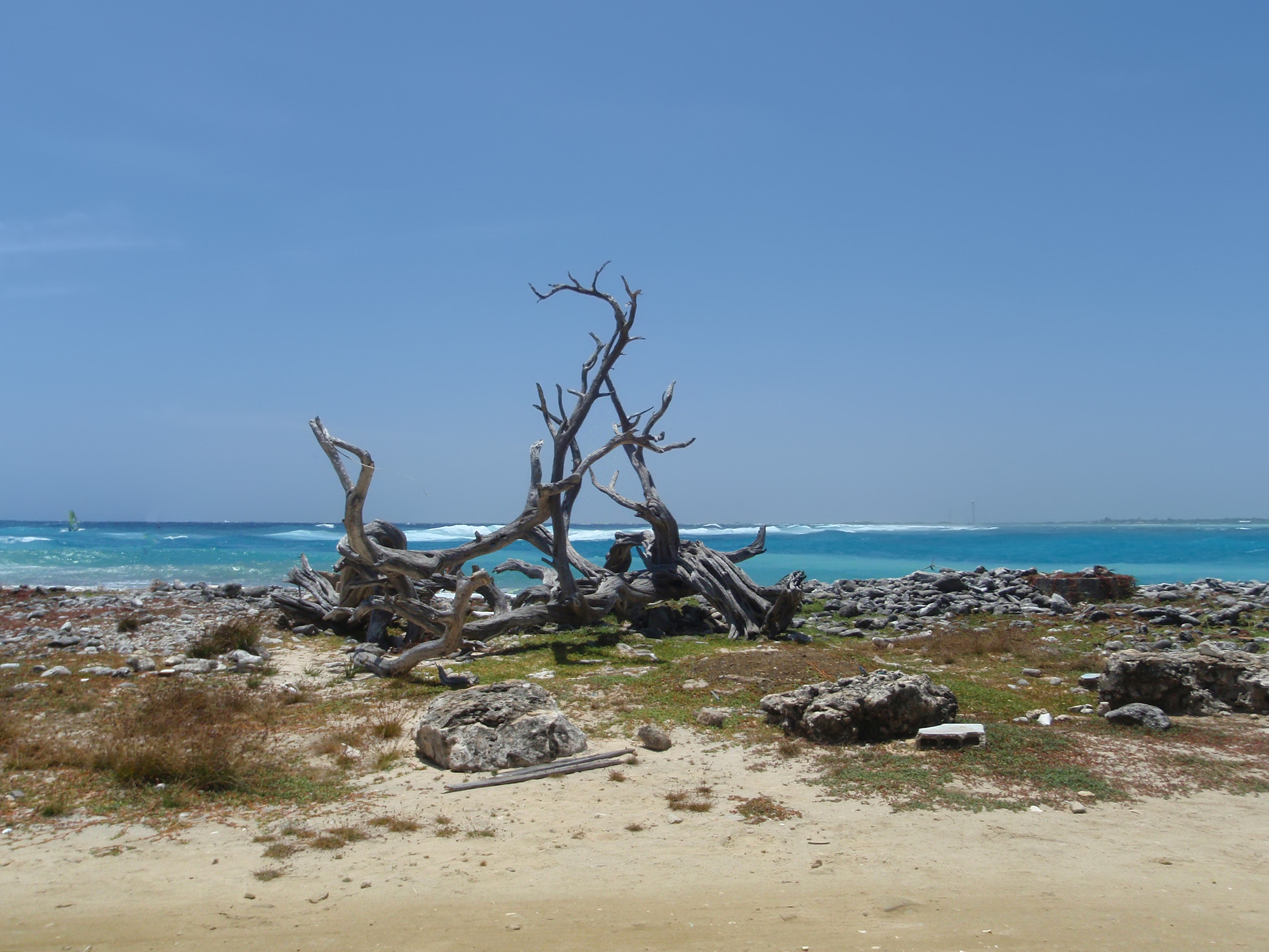 Olympus u1030SW,S1030SW sample photo. Bonaire island atlantic ocean wild side beach photography