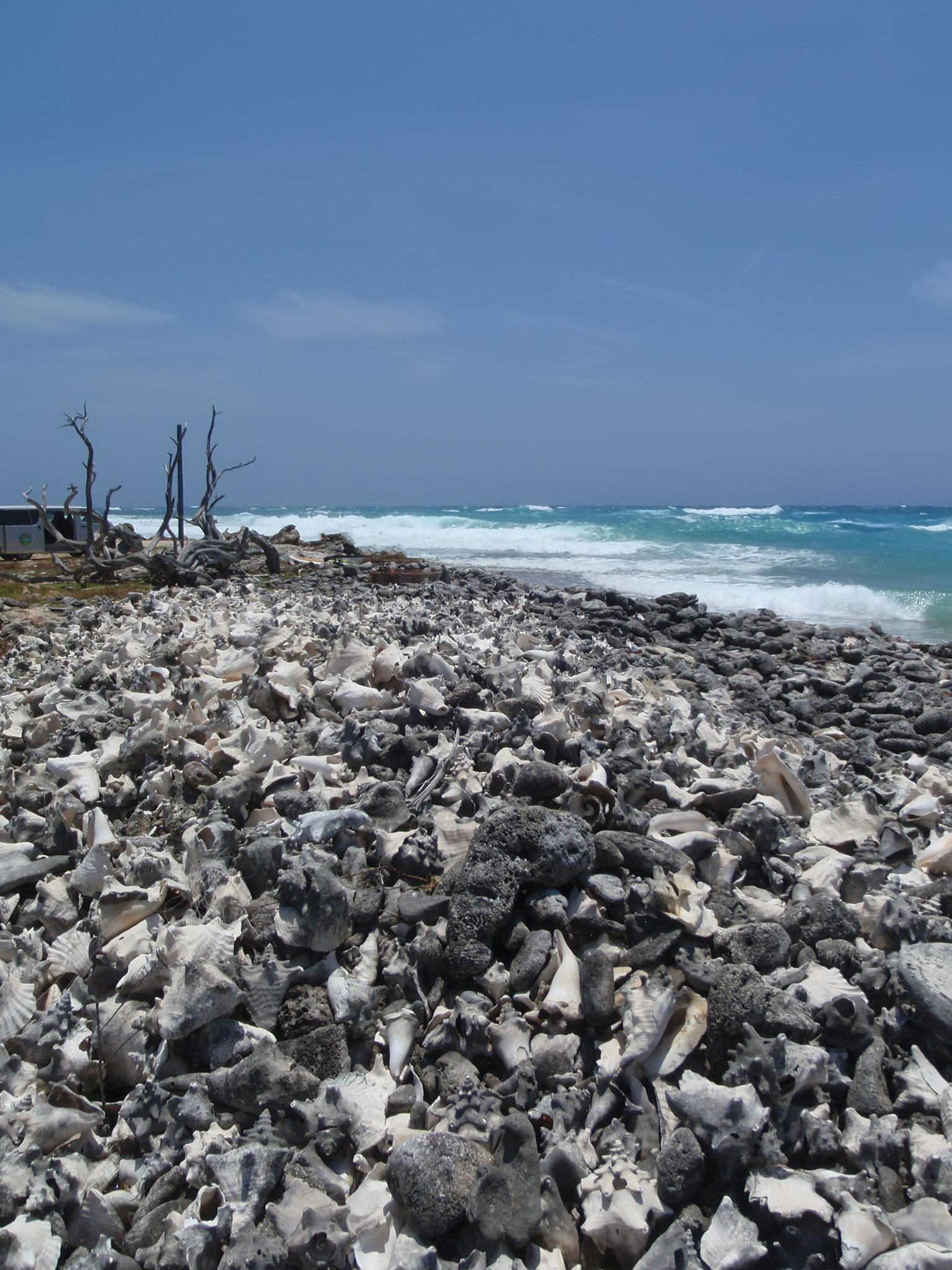 Olympus u1030SW,S1030SW sample photo. Bonaire island atlantic ocean wild side beach photography