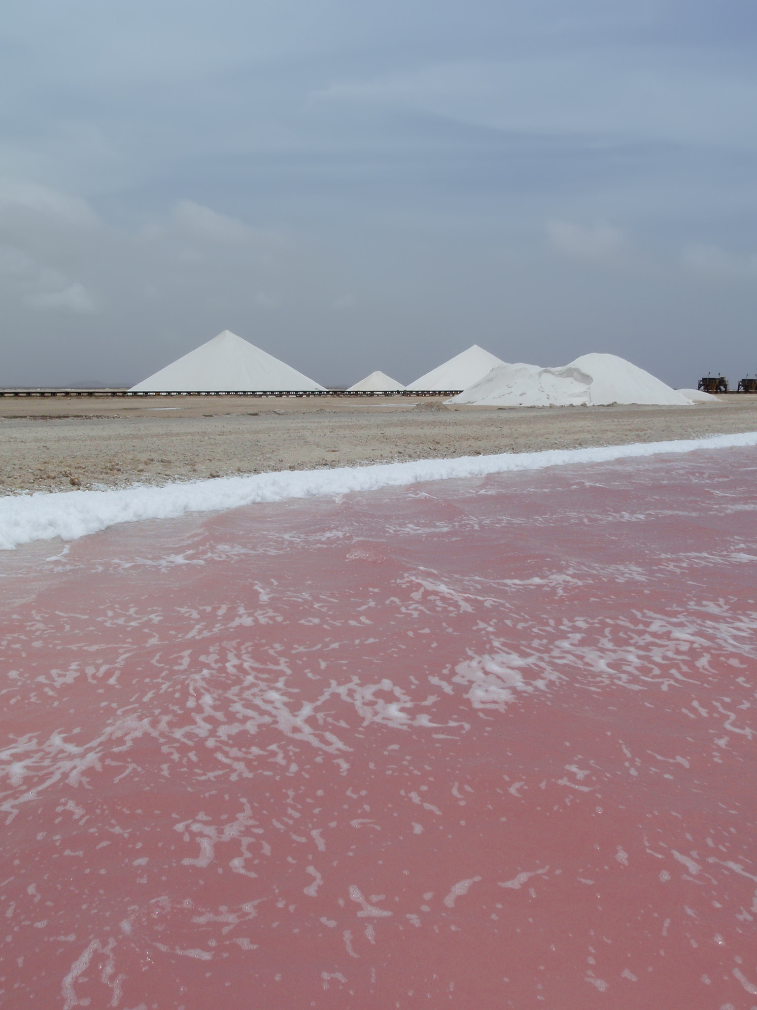 Olympus u1030SW,S1030SW sample photo. Rose salt mining lake caribbean bonaire island photography
